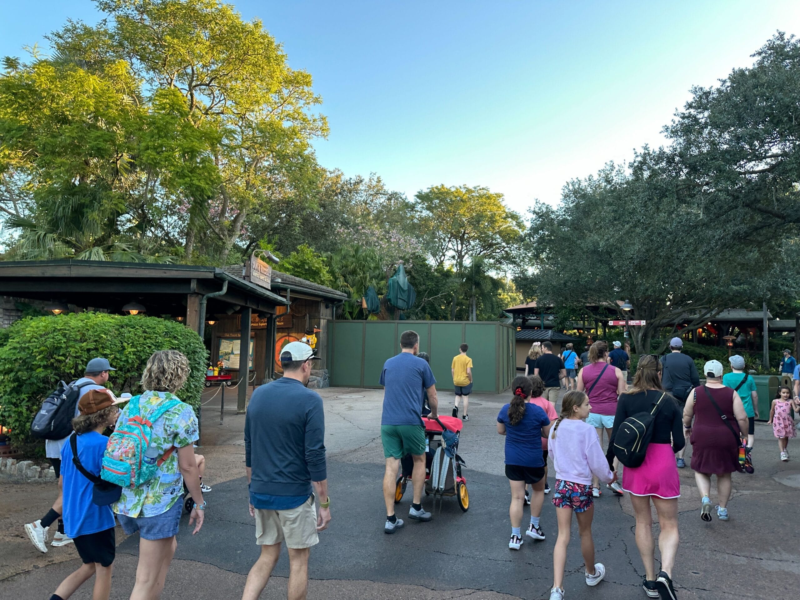 Guests stroll toward a green construction wall at Animal Kingdom, sunlight filtering near shops by the new Zootopia zone. No castle visible.