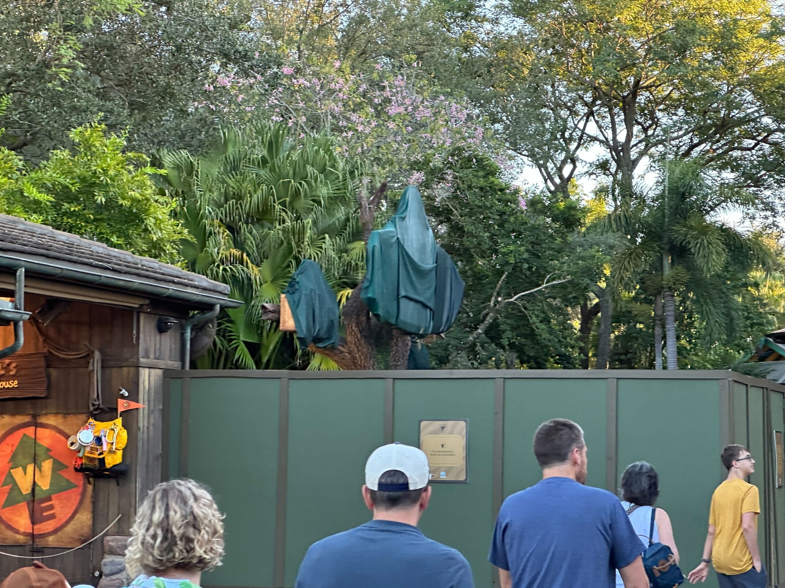 Guests stroll by a green construction wall at Animal Kingdom, with green-tarped trees and structures shielding ongoing park work.