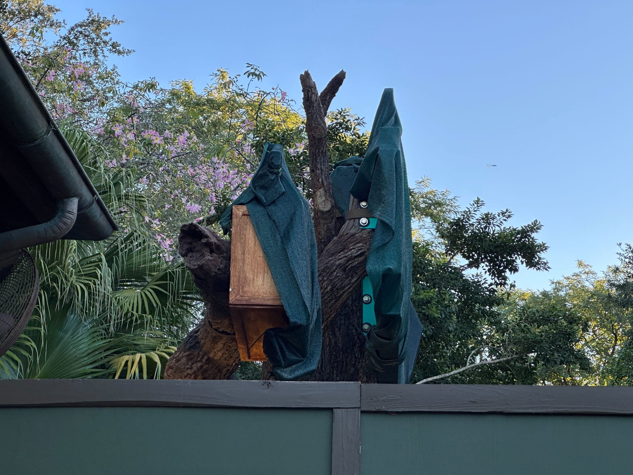Two green-clad figures on a tree stump by a wooden box, reminiscent of Animal Kingdom at Walt Disney World, under a blue sky.