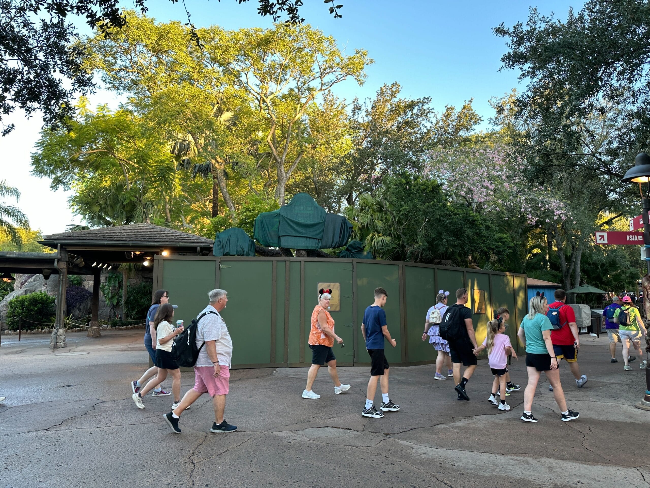 Guests stroll by a green construction wall at Animal Kingdom, trees in back teasing a possible Zootopia sign—no castle in sight.
