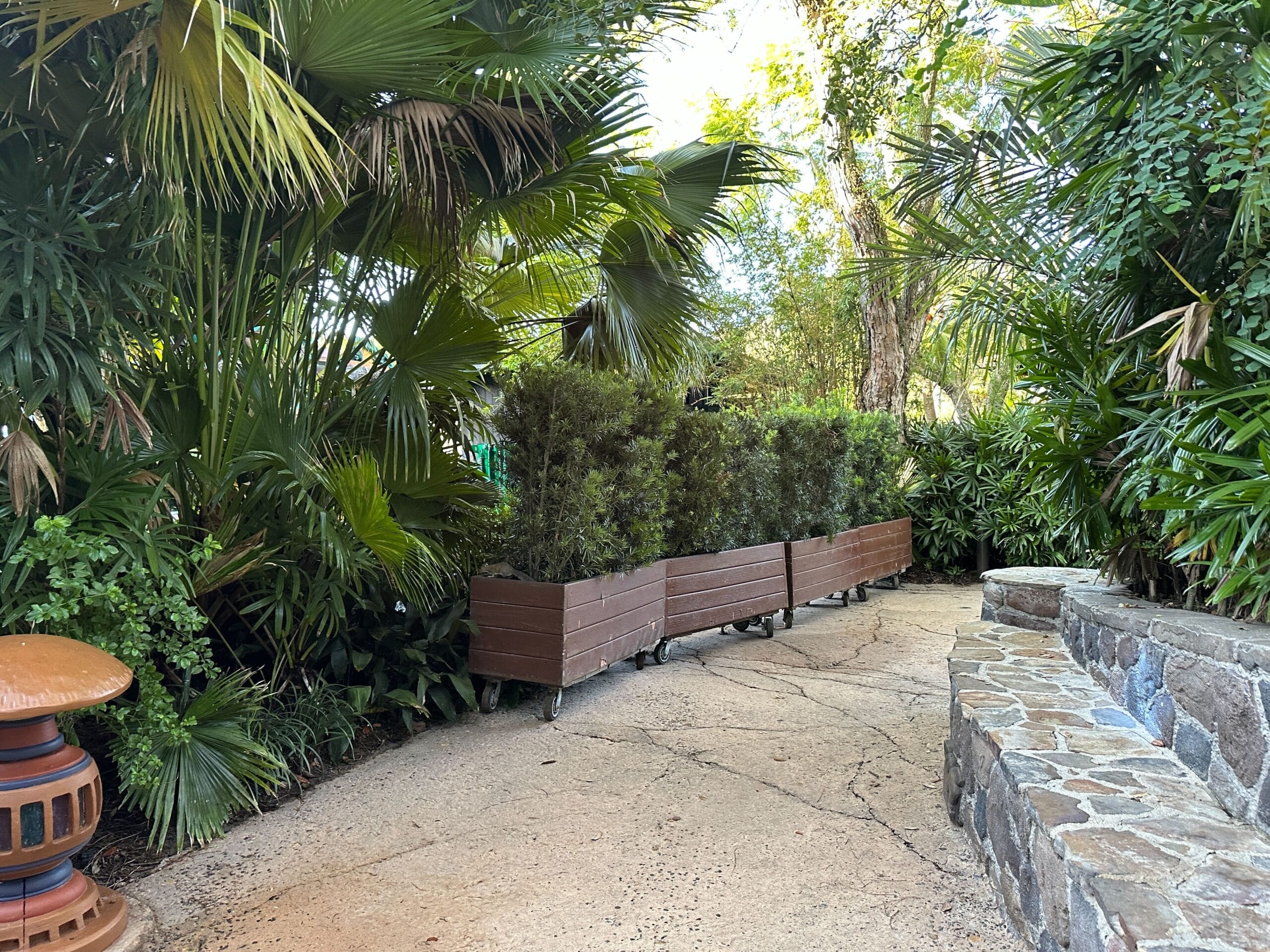 A winding stone path in Animal Kingdom, lined with lush tropical foliage and planters, captures a Zootopia feel, no castle in view.