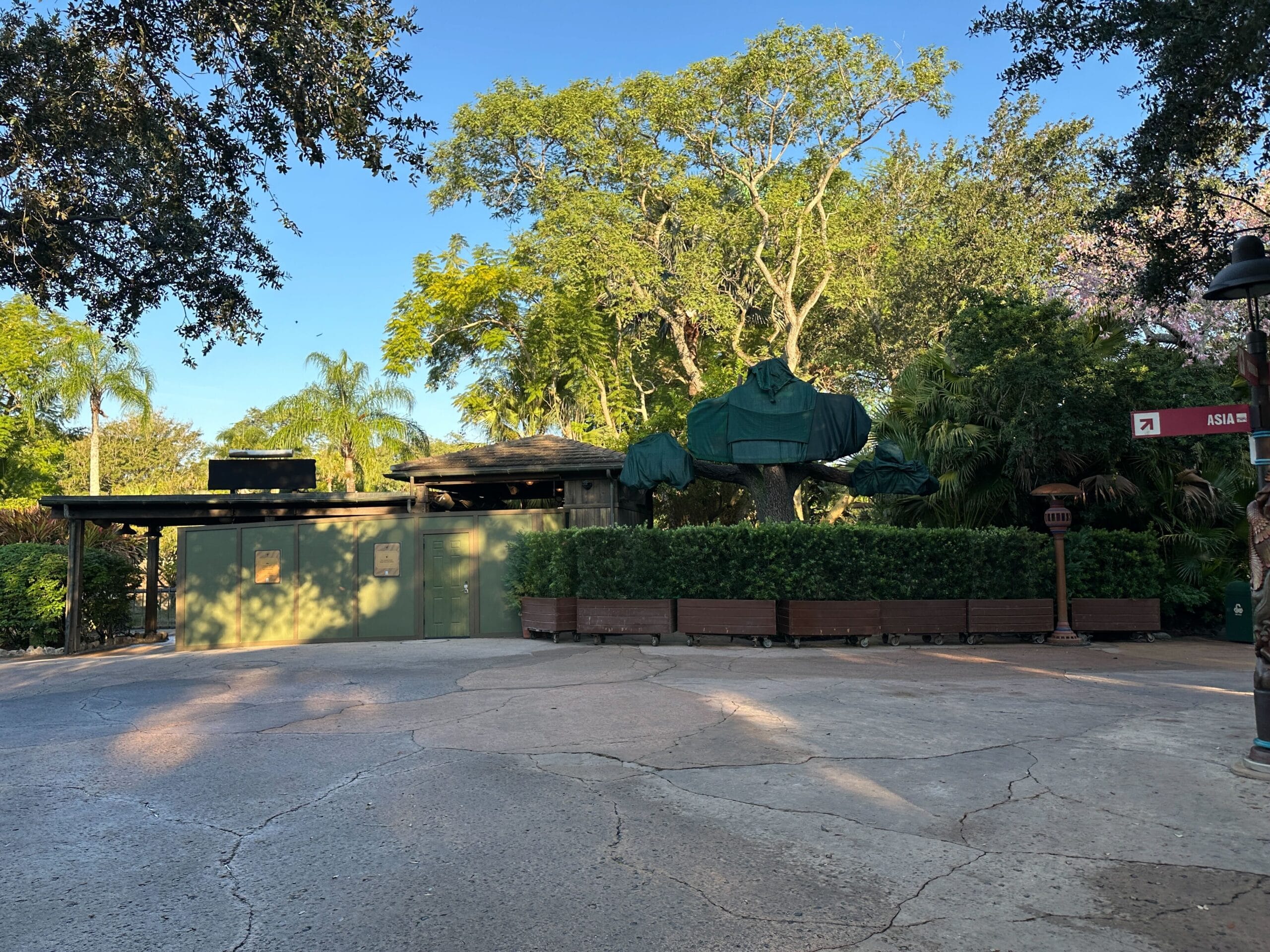 A closed, green Zootopia-themed construction area in a Disney park, edged by trees and bushes beneath a clear blue sky.