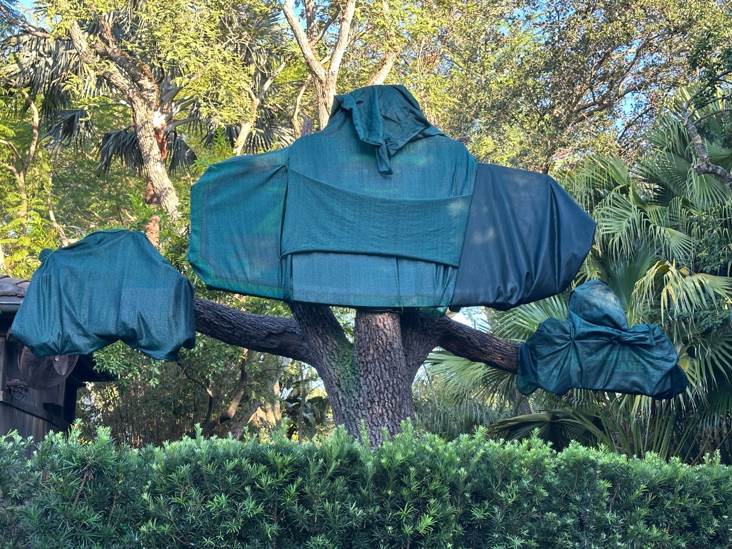 A tree with green tarps on its branches, evoking Animal Kingdom at Walt Disney World, set among lush foliage and other trees.