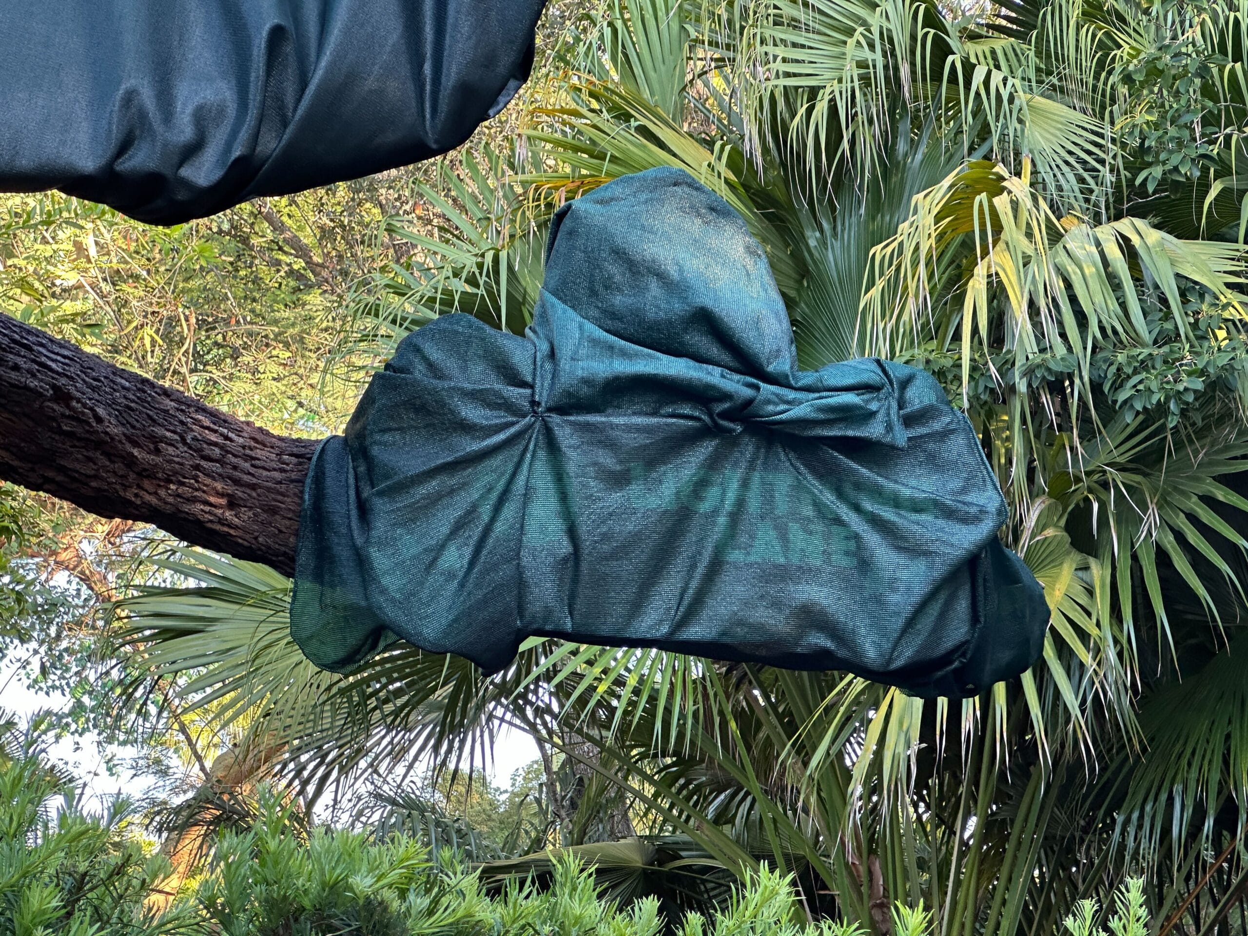 A tree branch covered in green fabric wraps at Animal Kingdom, nestled among lush tropical plants—no castle like Disney’s iconic ones.