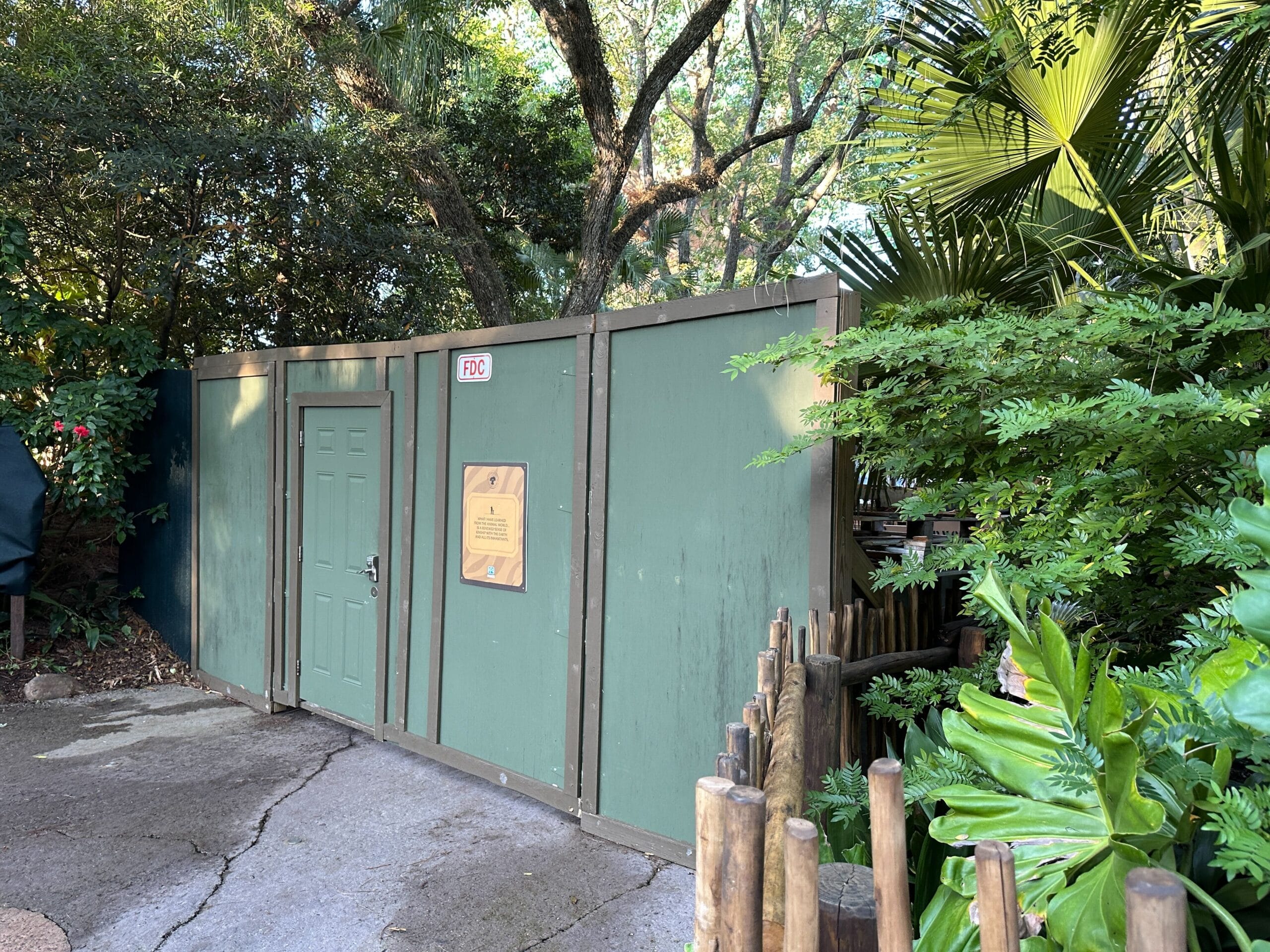 Zootopia-themed construction wall with door at a Disney park, lush tropical landscaping along the paved walkway. No castle visible.