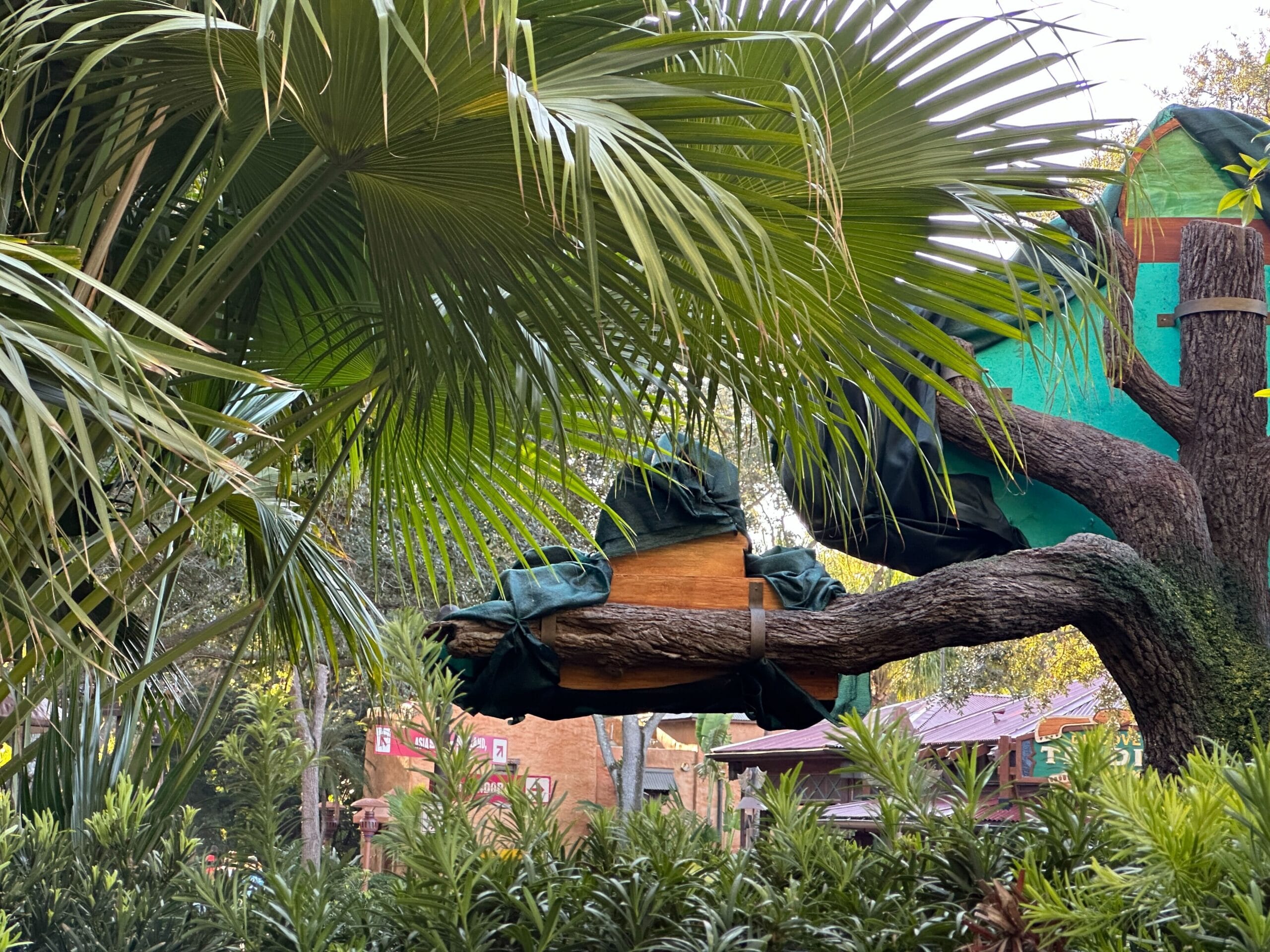 A large artificial branch with green covering blends into lush palm leaves and foliage at Disney's Animal Kingdom, outdoors.