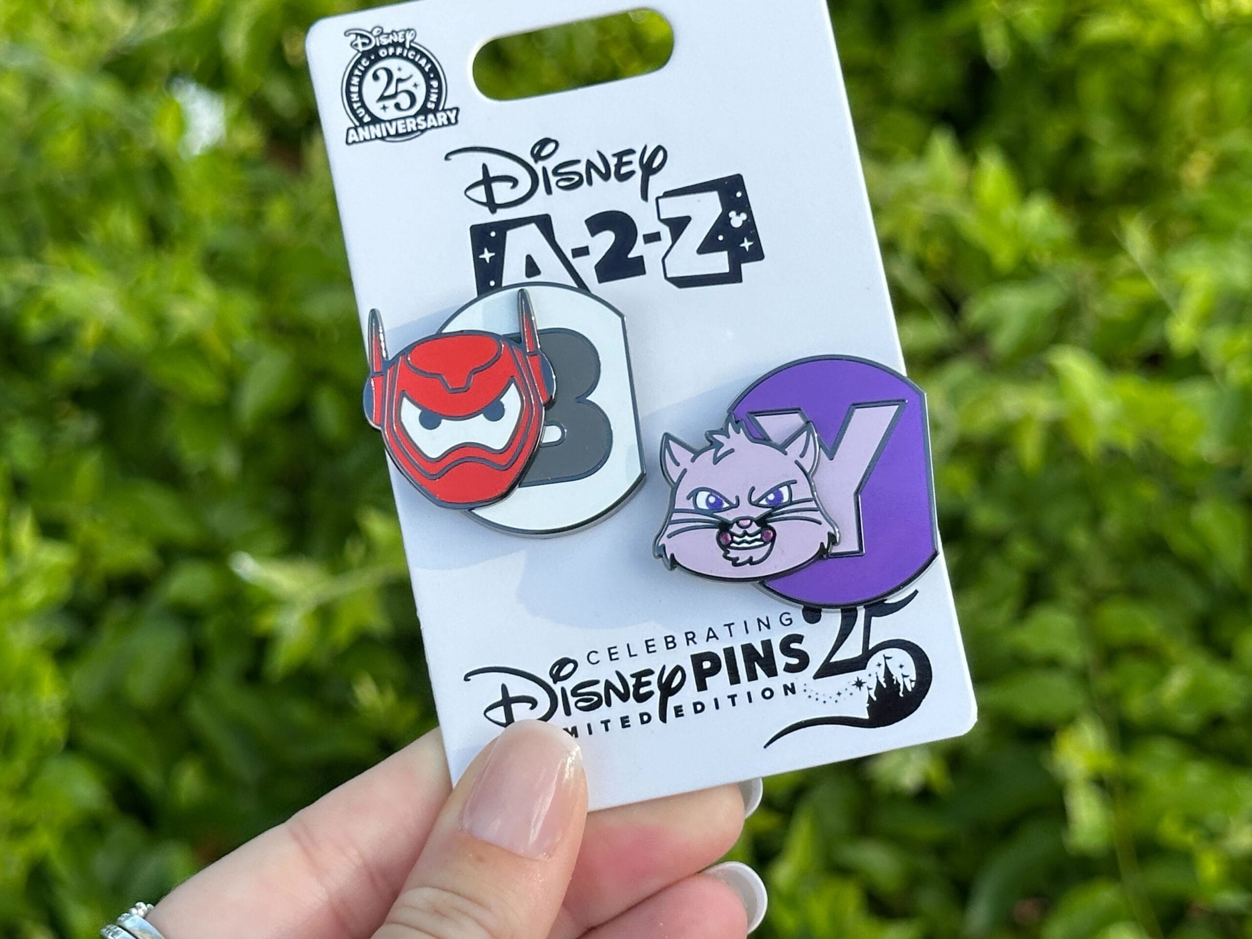 A hand displays a Disney World Pin A-Z set featuring Baymax and Yzma, with lush greenery behind, evoking park garden vibes.