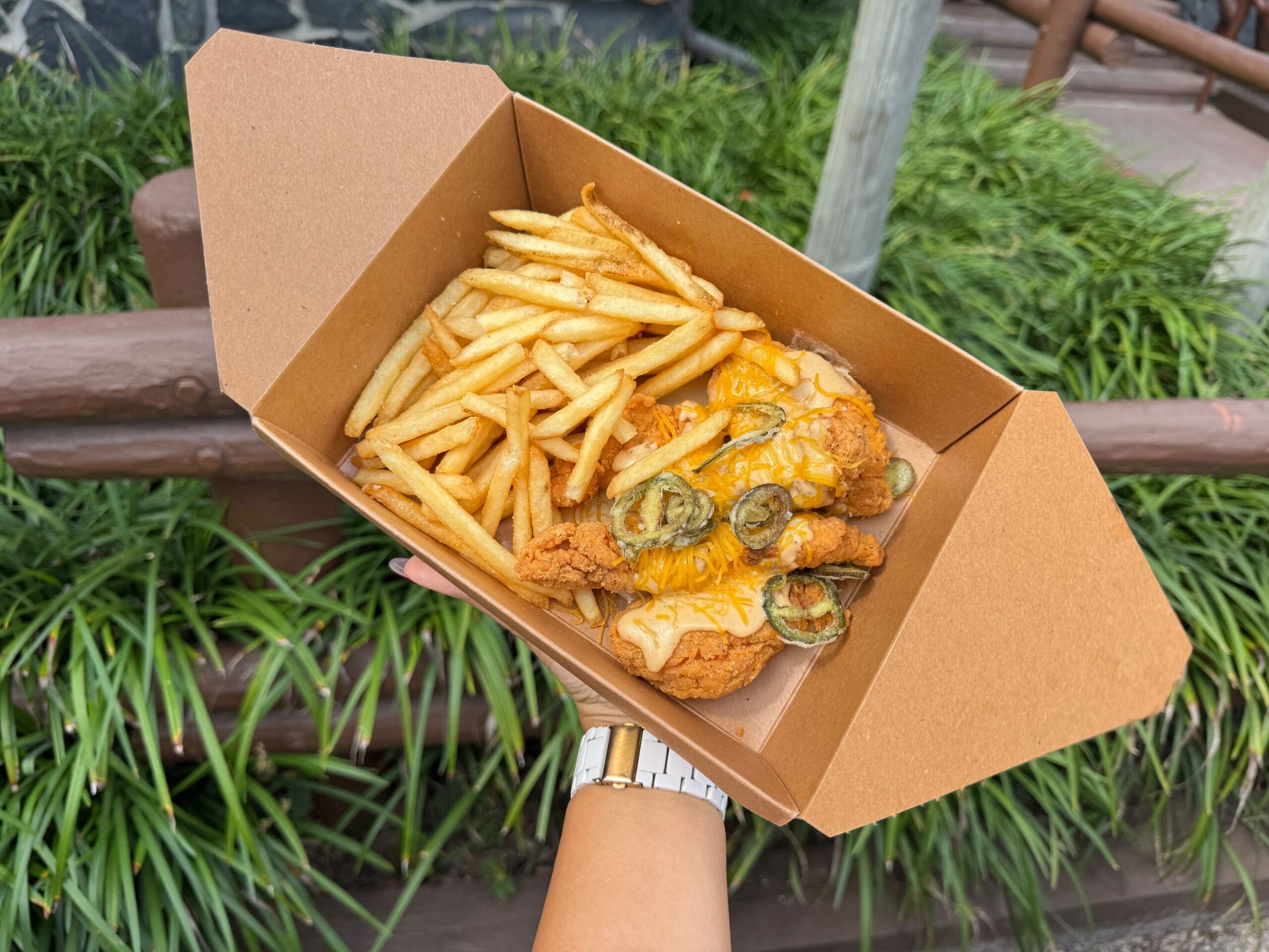A hand holds Jalapeño Cheddar Chicken fries and cheesy fried chicken, likely enjoyed outdoors at a Disney park near a castle.