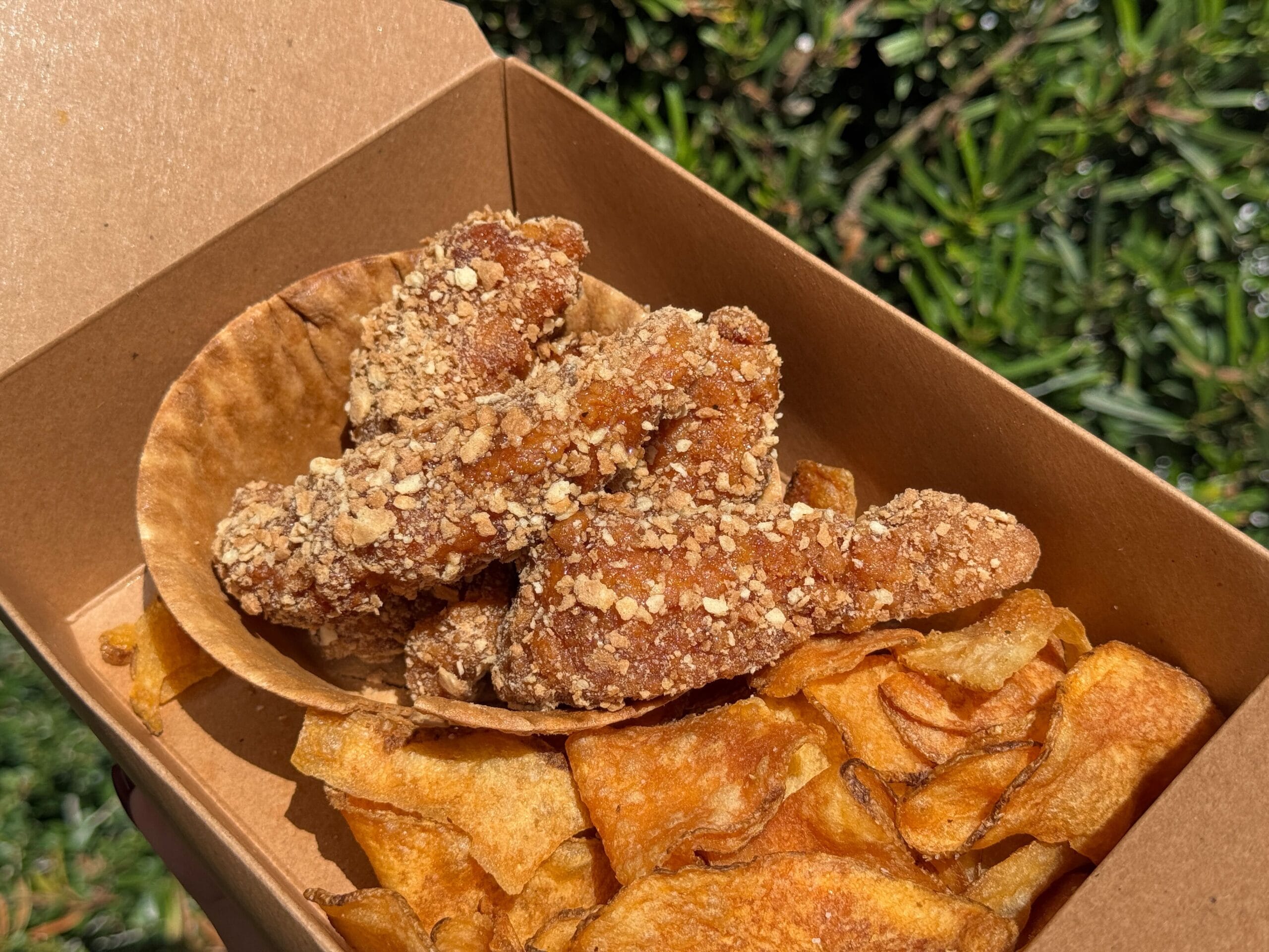 A takeout box with crispy chicken strips and potato chips, enjoyed outdoors amid lush greenery at a Disney park. No castle in view.