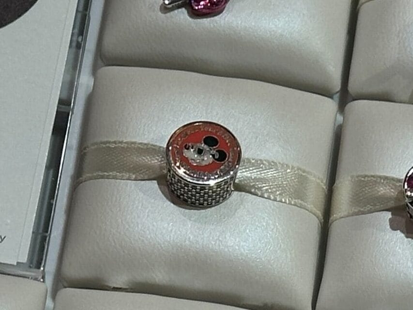 A display case of Disney Parks charm pendants, neatly arranged on white cushions with cards, evoking global park magic.