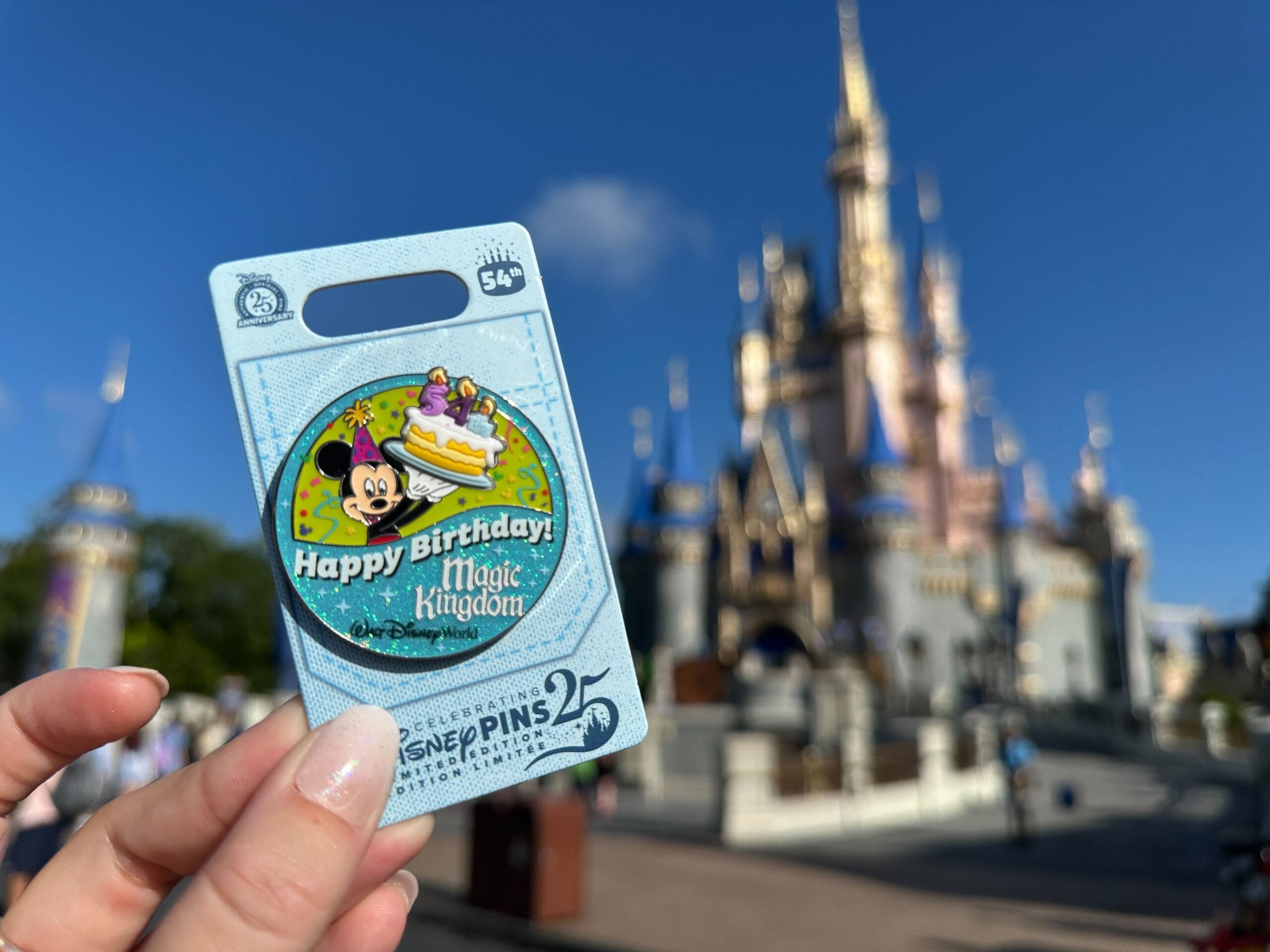Hand holding a "Happy Birthday! Magic Kingdom" Disney pin with Cinderella’s Castle blurred in the daily recap background.