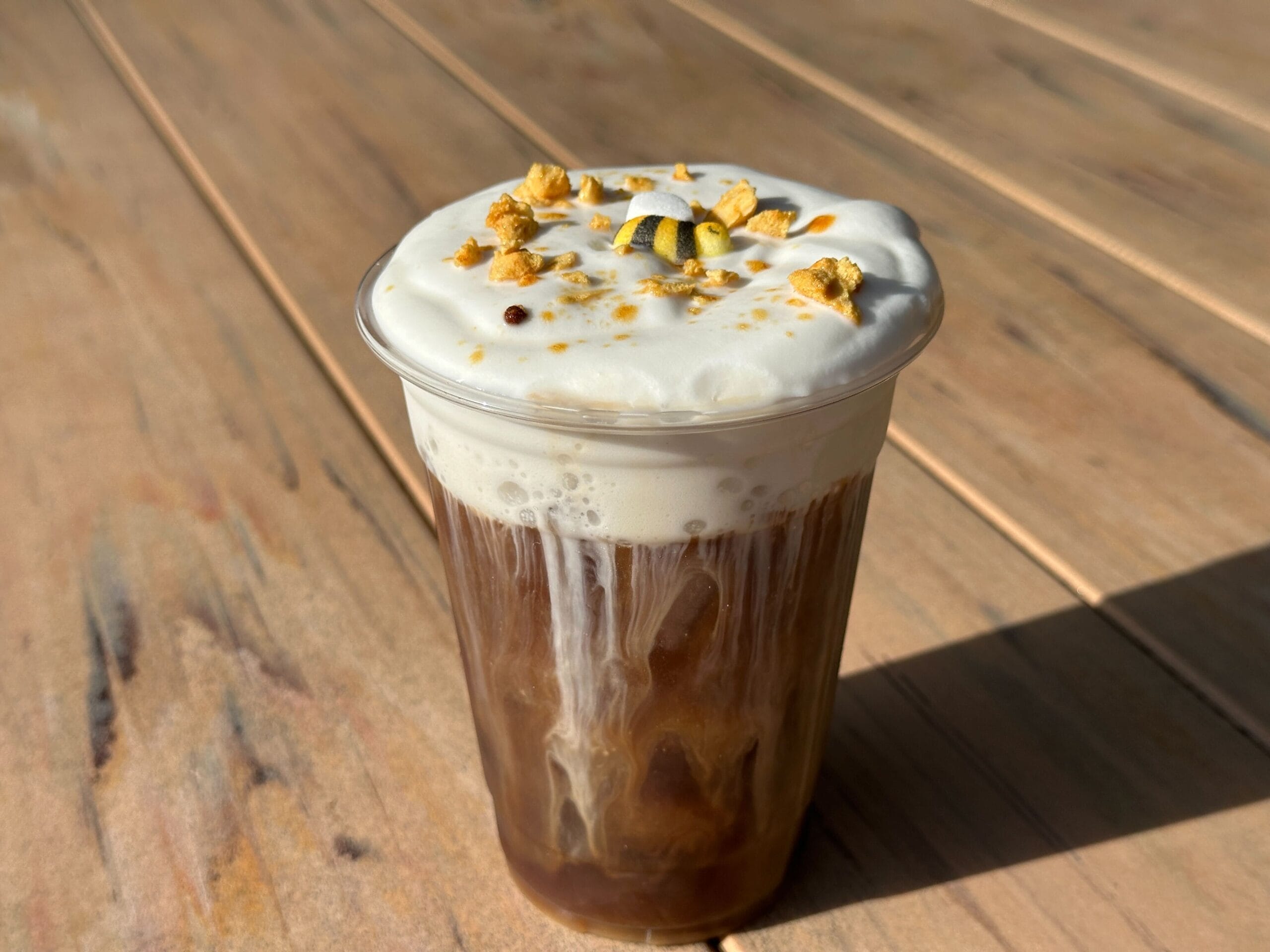 Honey-Lavender Cold Brew with thick foam and granola on a sunlit wooden table at Magic Kingdom, Walt Disney World—review.