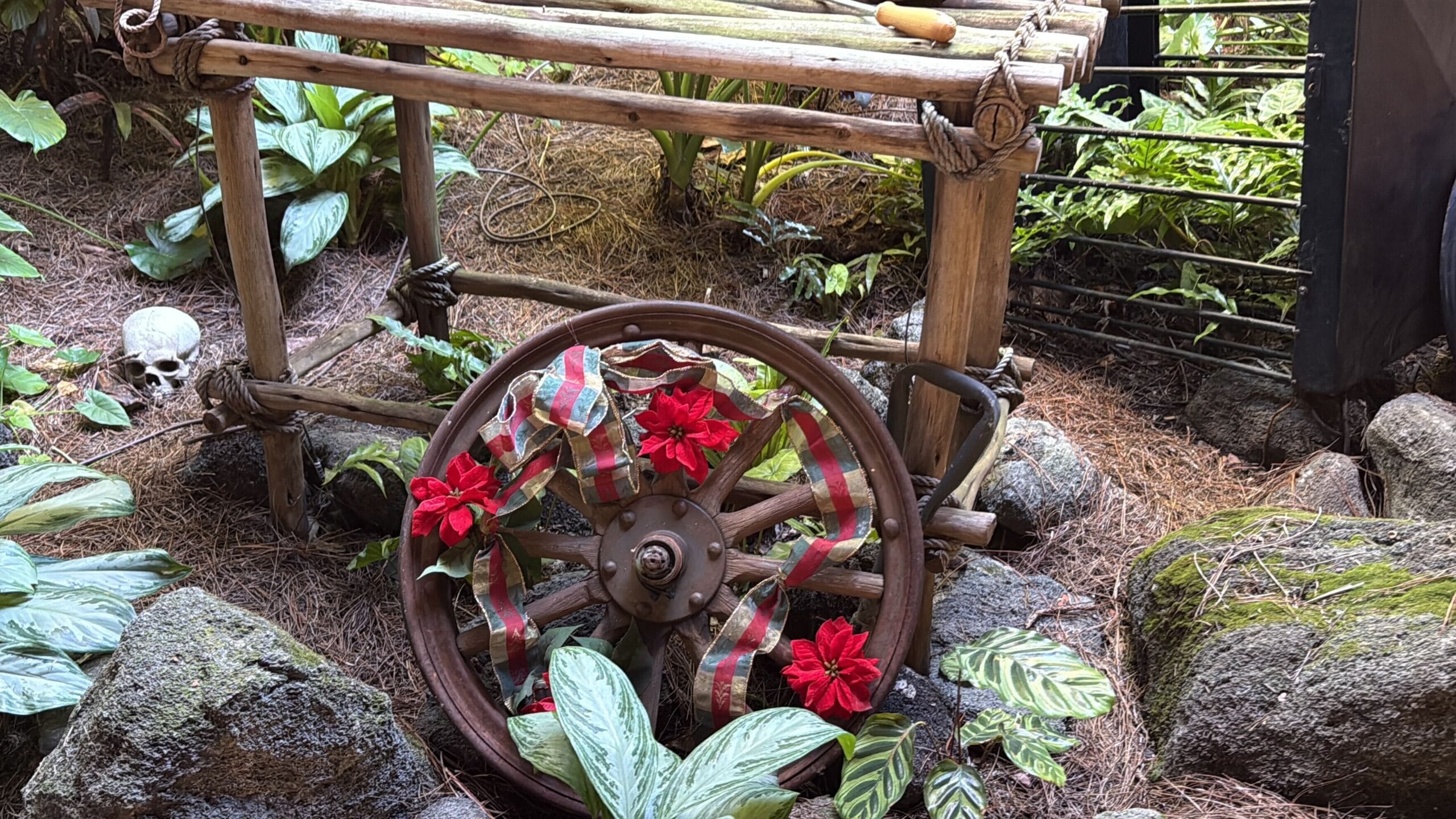 An old wooden cart with a festive wagon wheel sits amid lush greenery, evoking Magic Kingdom’s Jingle Cruise vibe in Disney Parks.
