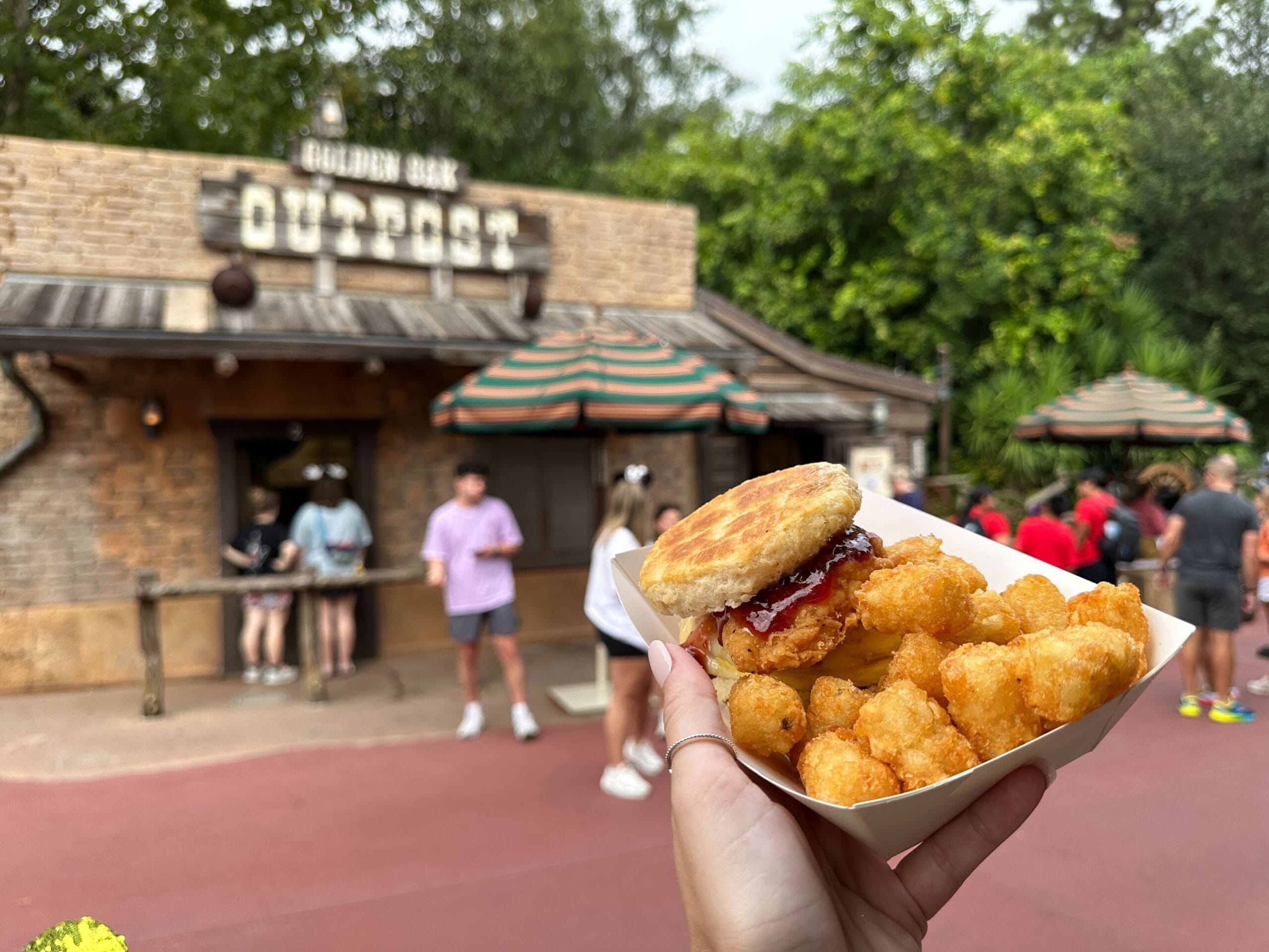 Enjoy a chicken biscuit sandwich and tater tots for breakfast at Golden Oak Outpost, nestled in Magic Kingdom near Cinderella Castle.