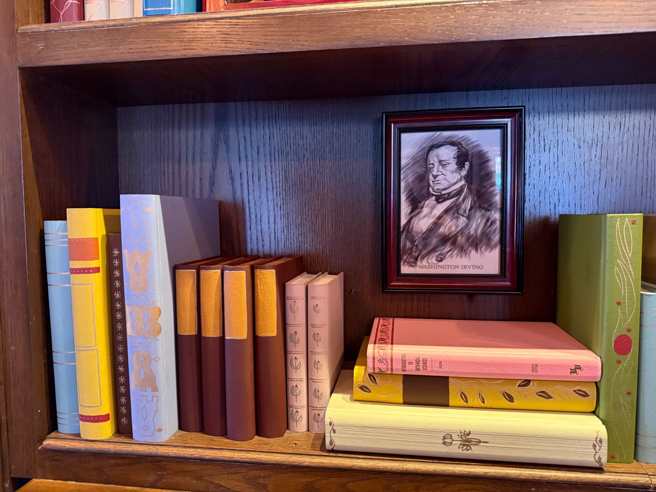 Colorful books line a wooden shelf, with a framed portrait of a man in the upper right—no Disney castle visible here.