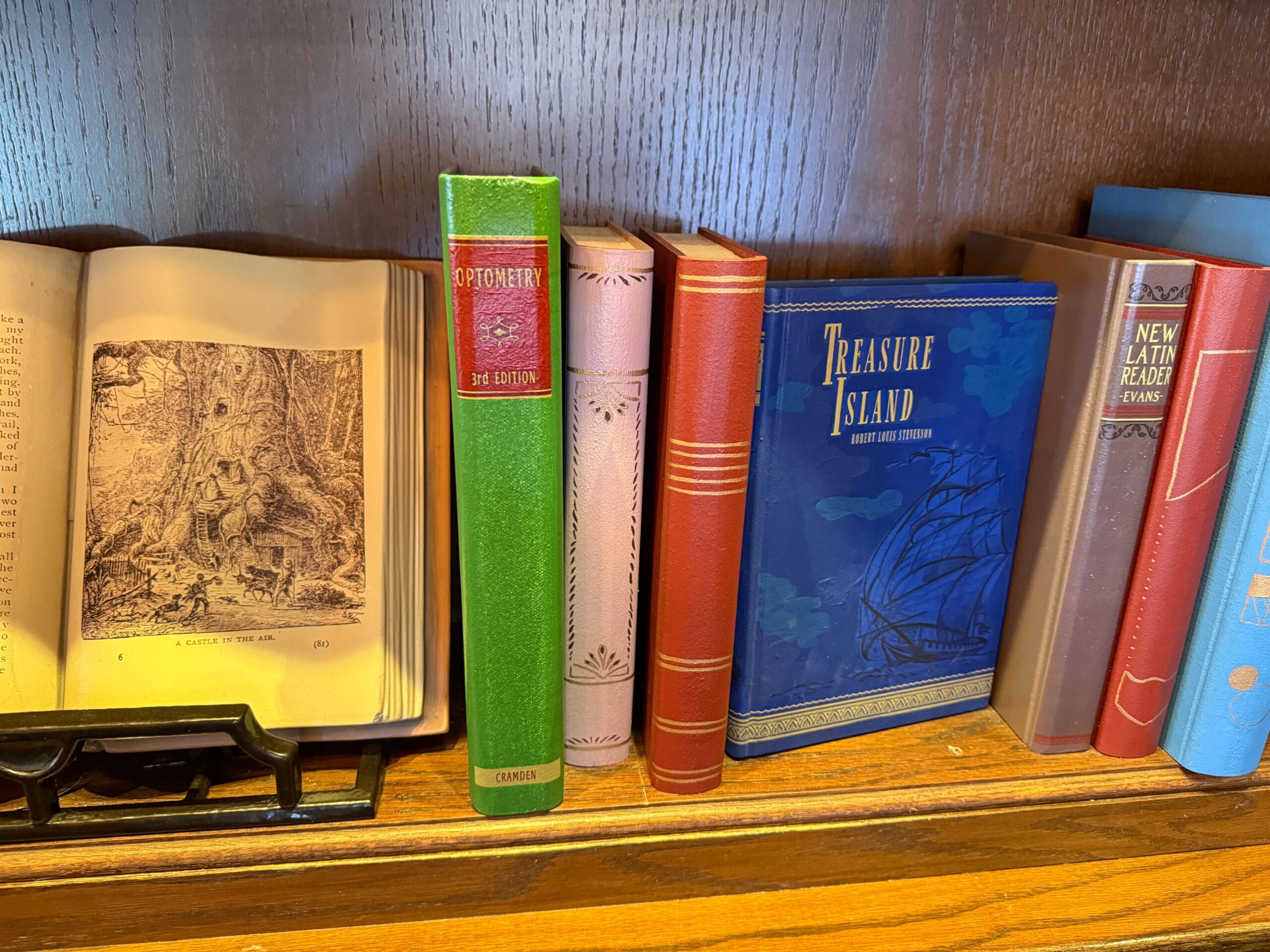 Books on a wooden shelf, including an open illustrated book and a blue "Treasure Island" hardcover, like ones seen in Disney park shops.