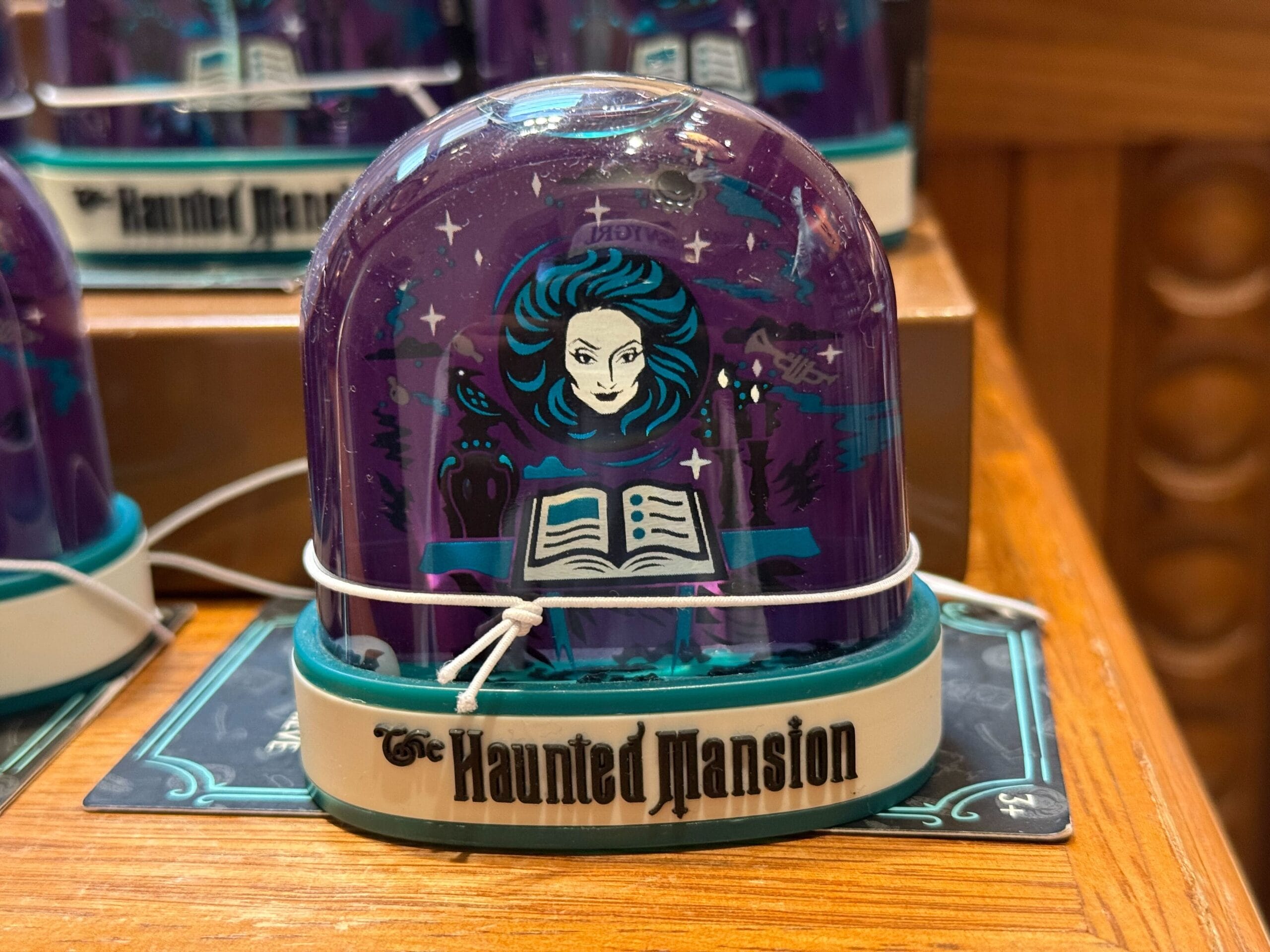 A Haunted Mansion souvenir from a Disney park, showing Madame Leota’s face and an open book beneath a dome on a wooden shelf.
