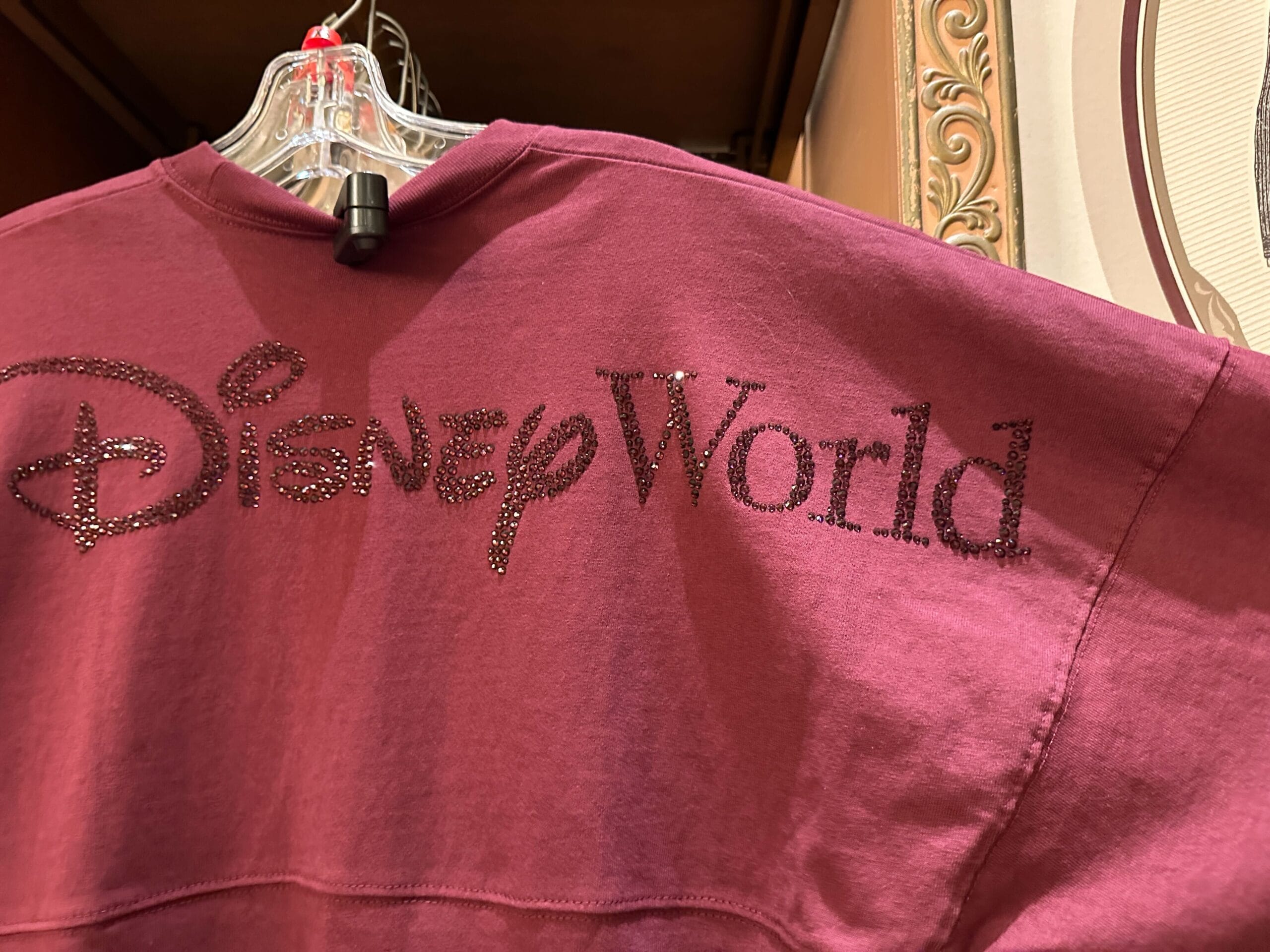 A maroon sweatshirt with “Disney World” in glittery letters on the back, hanging on a clear hanger, classic park merch style.
