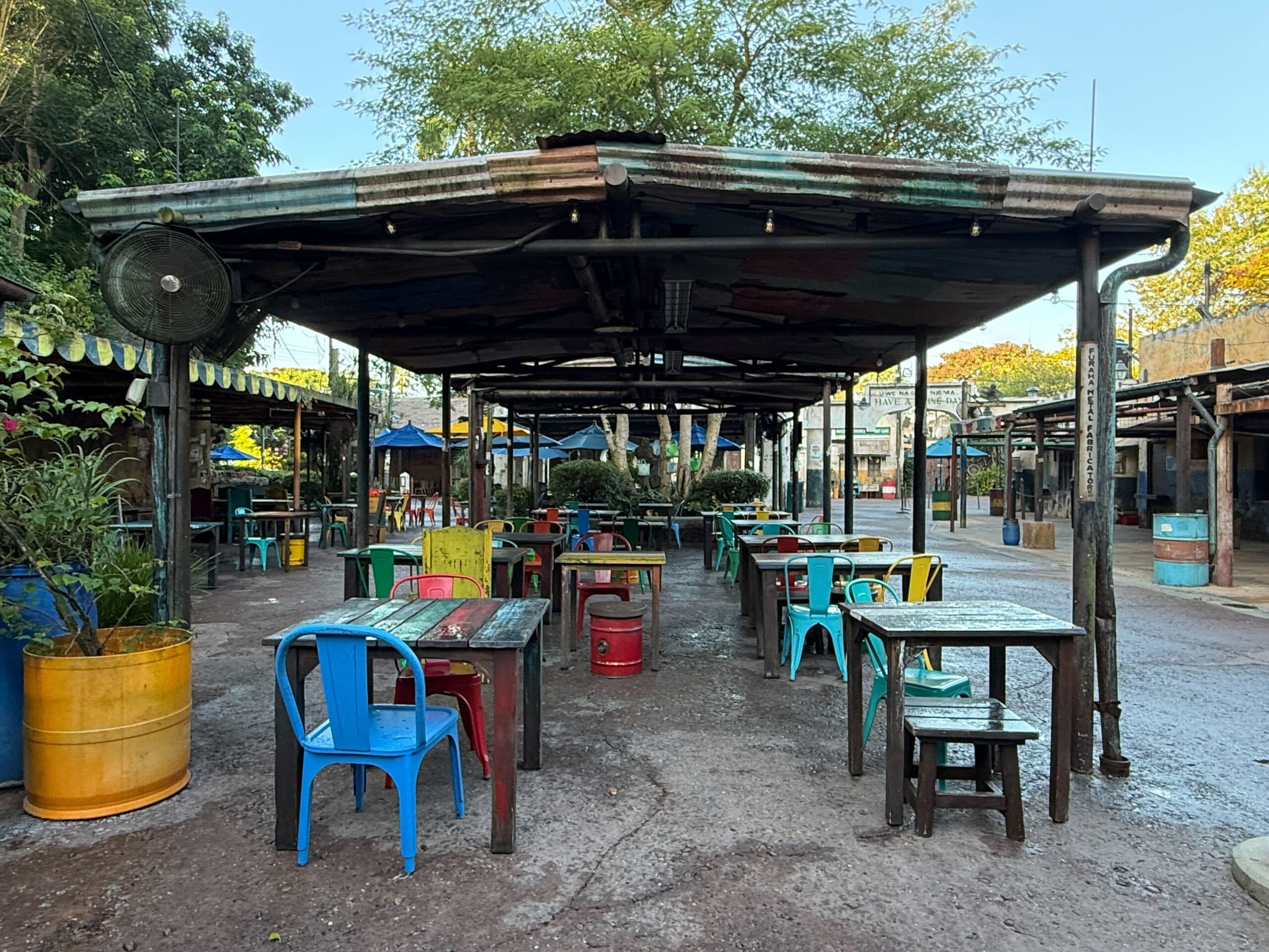 Covered outdoor seating at Trilo-Bites in Disney's Animal Kingdom, with bright chairs on damp pavement shaded by lush park trees.