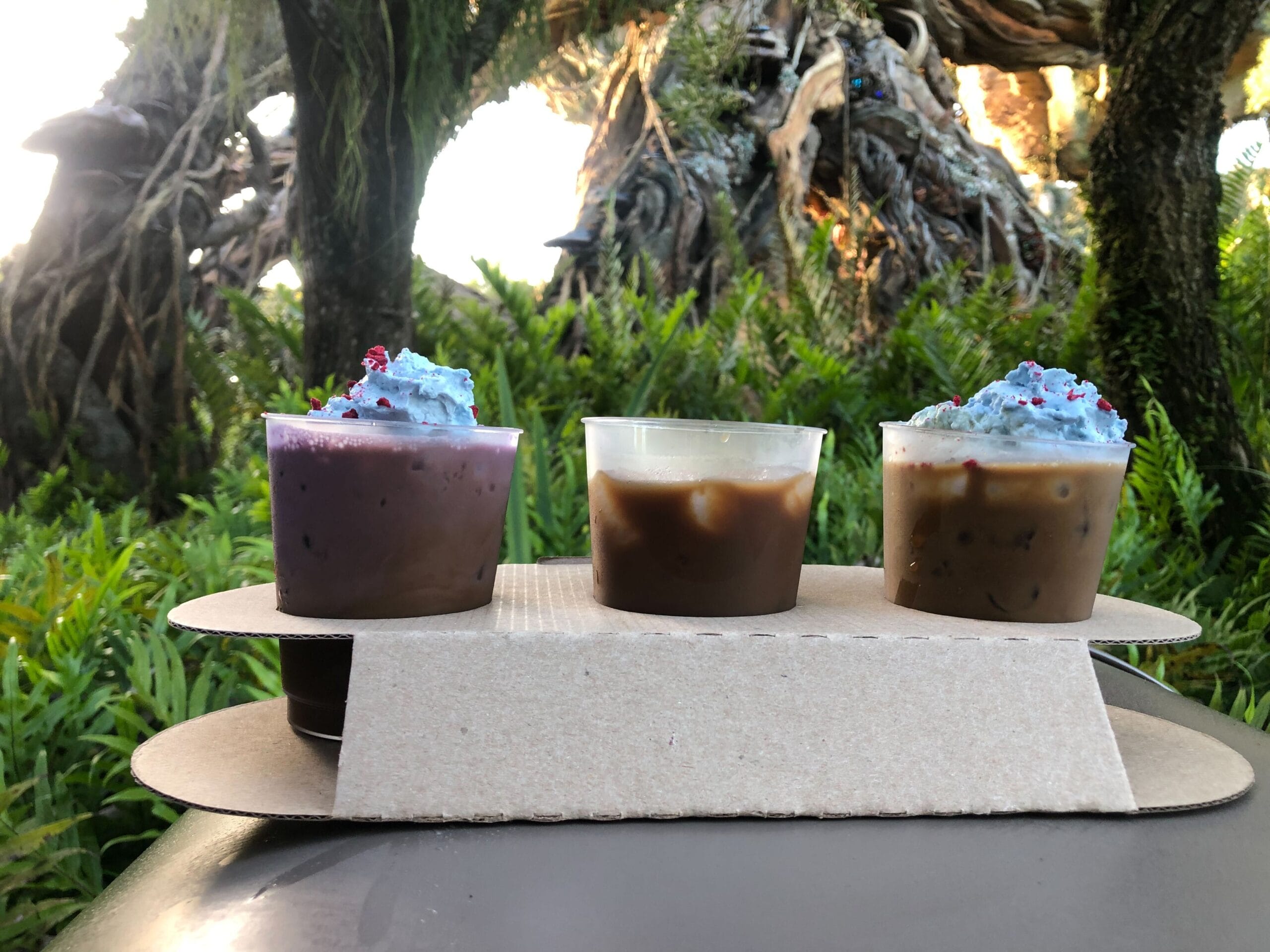 Three cups of colorful cold brew coffees sit on a cardboard tray outdoors, with lush greenery and a large tree in the background.