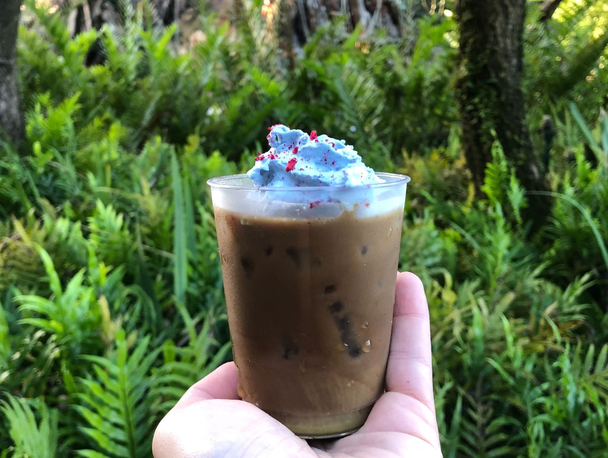 A hand holds an iced coffee topped with whipped cream and red sprinkles, with lush foliage in the background.