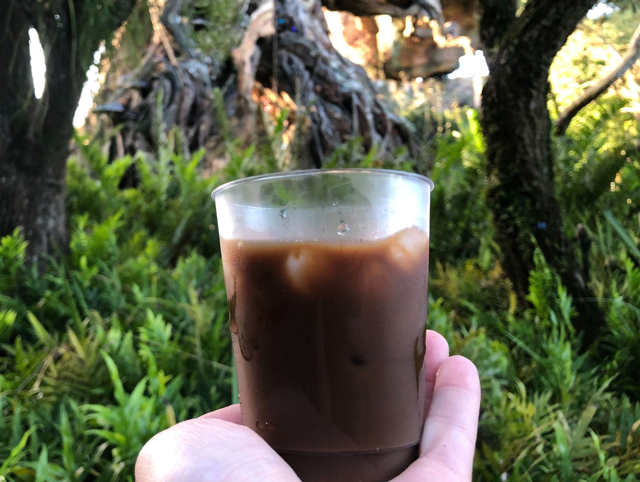 A hand holds a cup of iced coffee in front of lush green plants and twisted tree trunks outdoors.