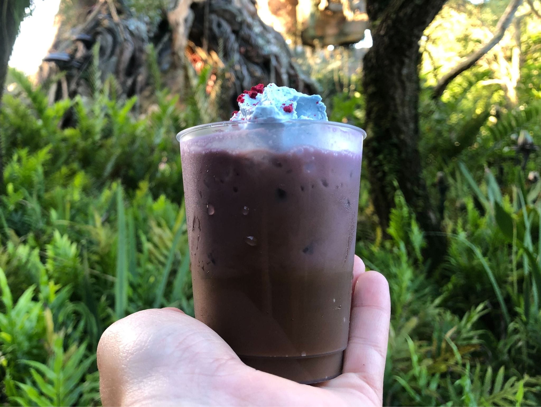 A hand holds an ube cold brew drink topped with whipped cream and red sprinkles, with lush foliage in the background.