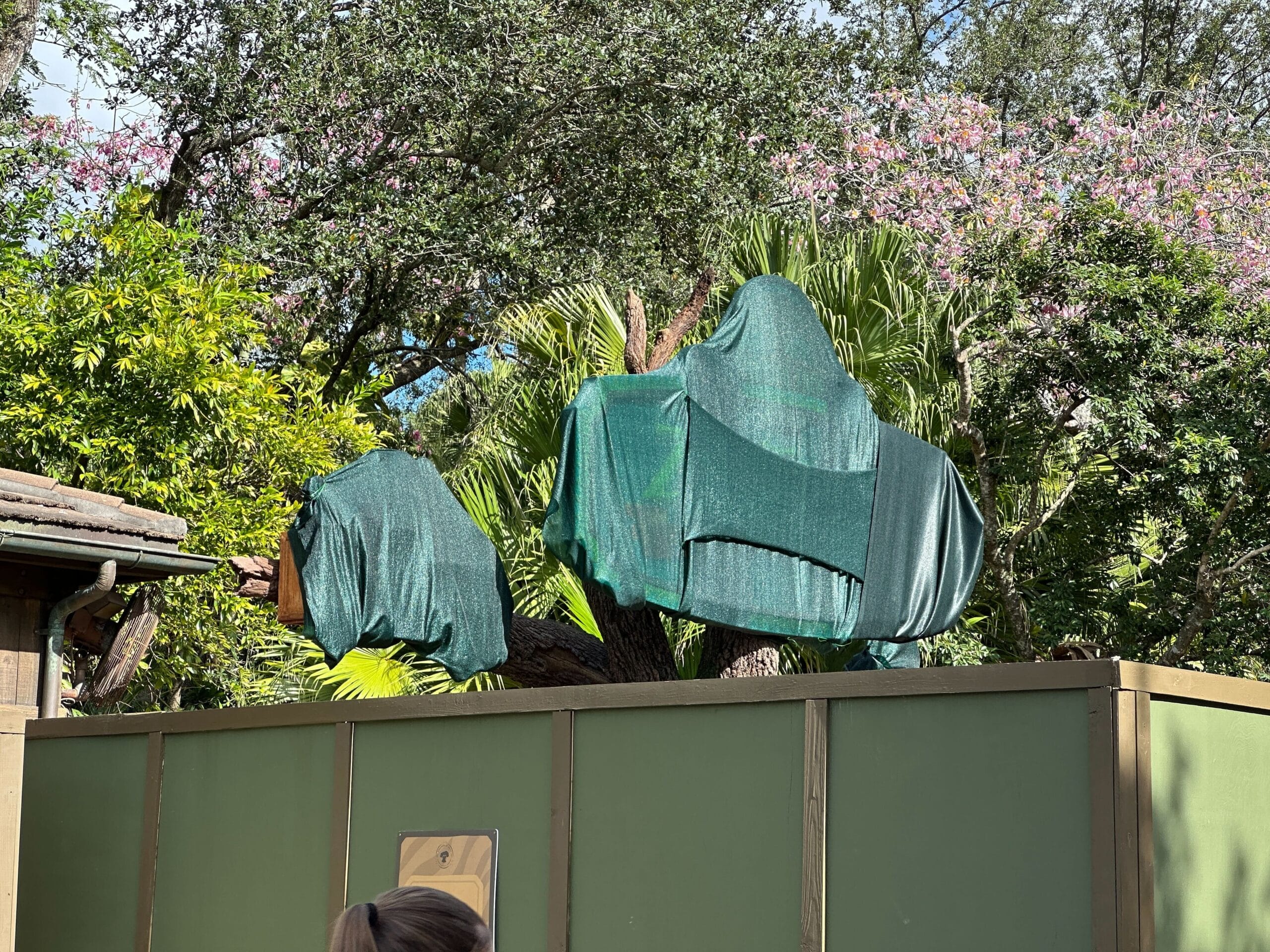 At Animal Kingdom Construction, two large, tarp-covered objects rest behind a green fence amid trees—no castle in sight here.
