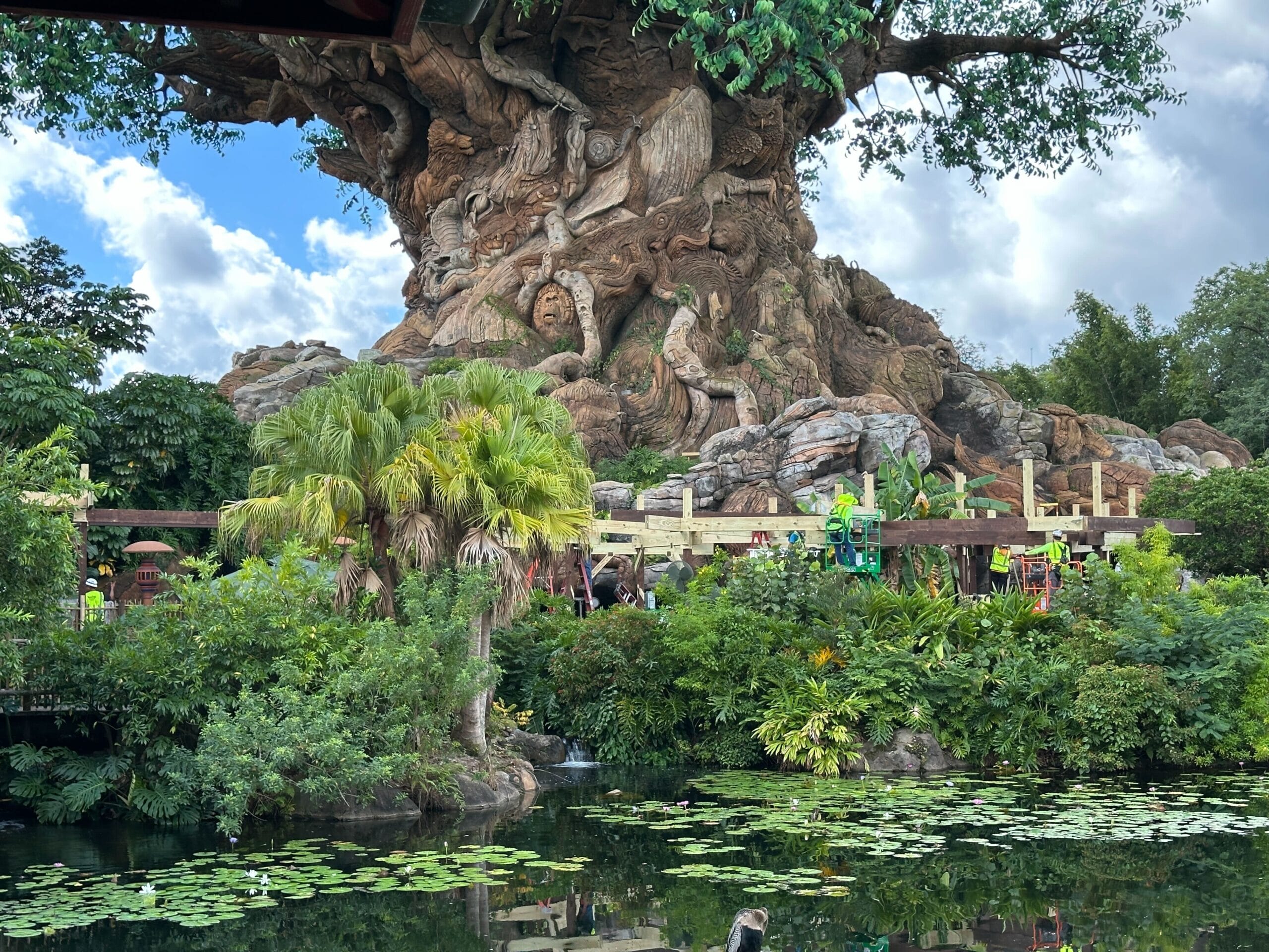 A towering artificial tree at Animal Kingdom, surrounded by lush foliage and water lilies, stands under a partly cloudy Disney sky.