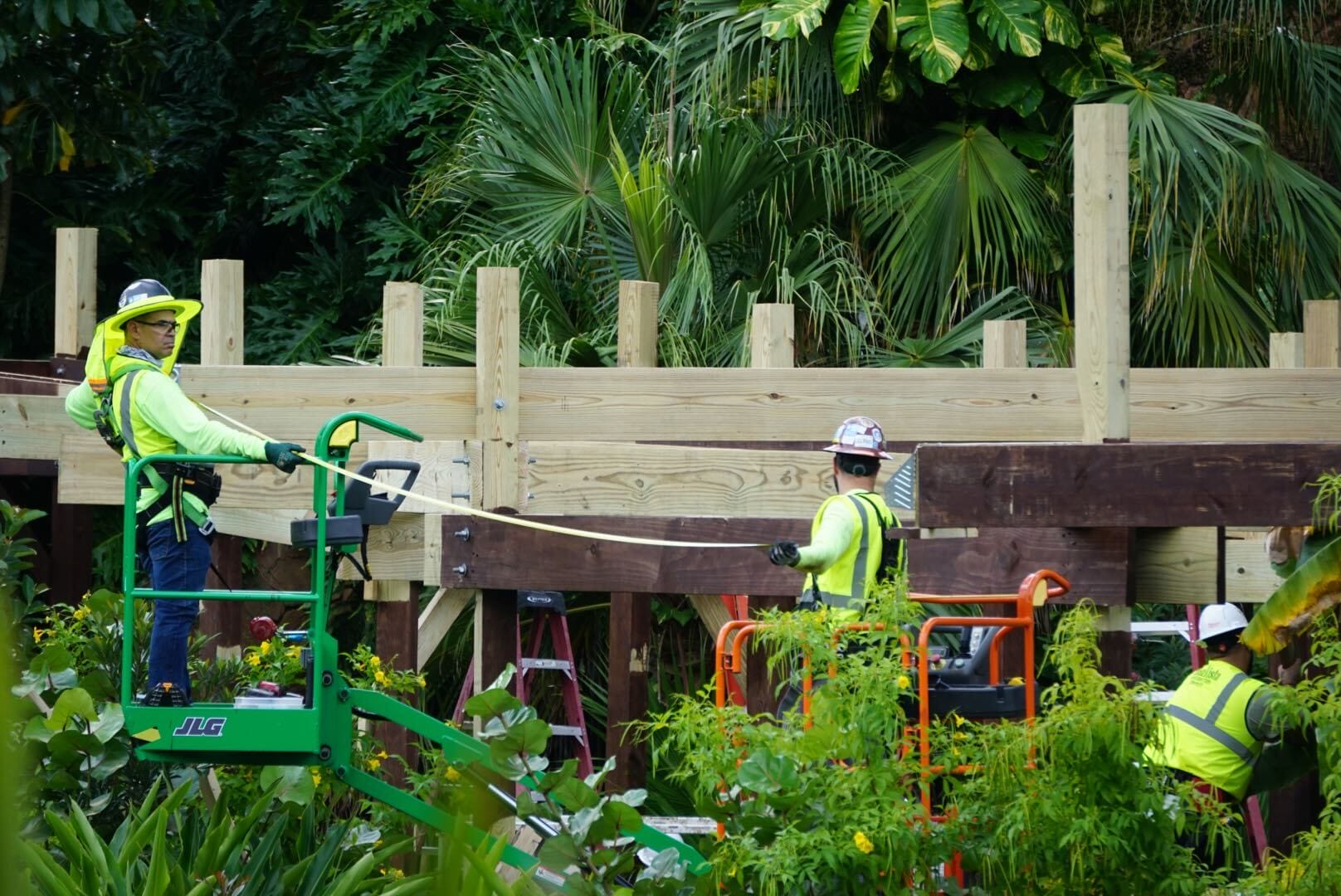 Three Animal Kingdom workers in safety gear build a wooden structure near lush greenery, evoking Disney park’s immersive landscaping.