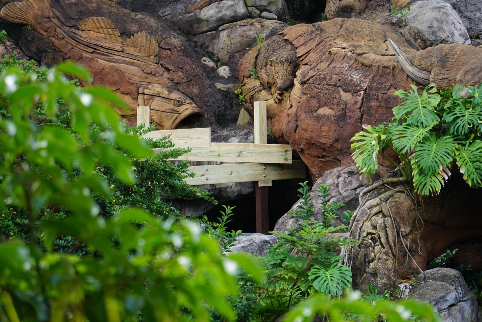 Unfinished wooden bridge in Disney’s Animal Kingdom style, set among lush greenery and rockwork with carved fish details.
