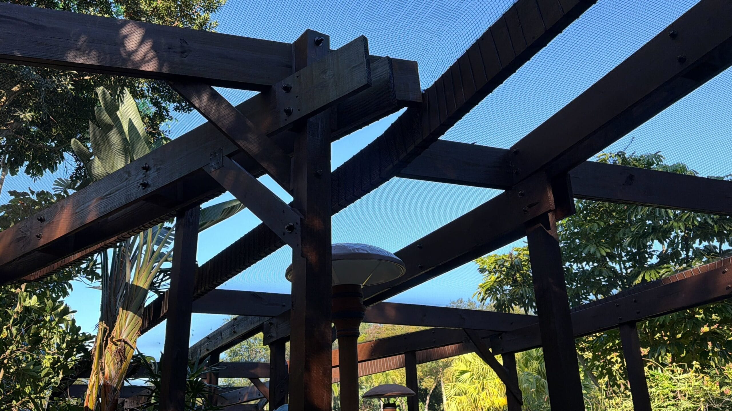 Dark wooden pergola beams with mesh covering, surrounded by lush greenery under a clear blue sky, reminiscent of EPCOT garden areas.