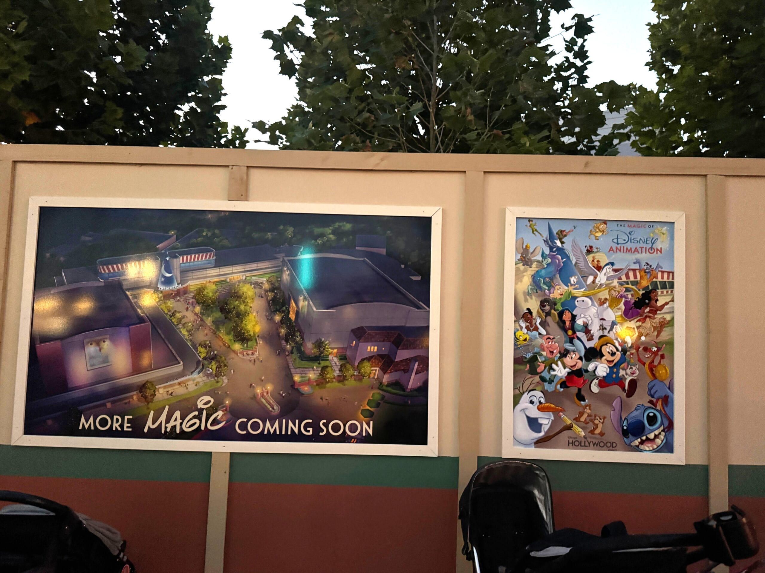 Two posters on Disney's Hollywood Studios construction walls: one promotes "More Magic," the other shares Disney Animation artwork.