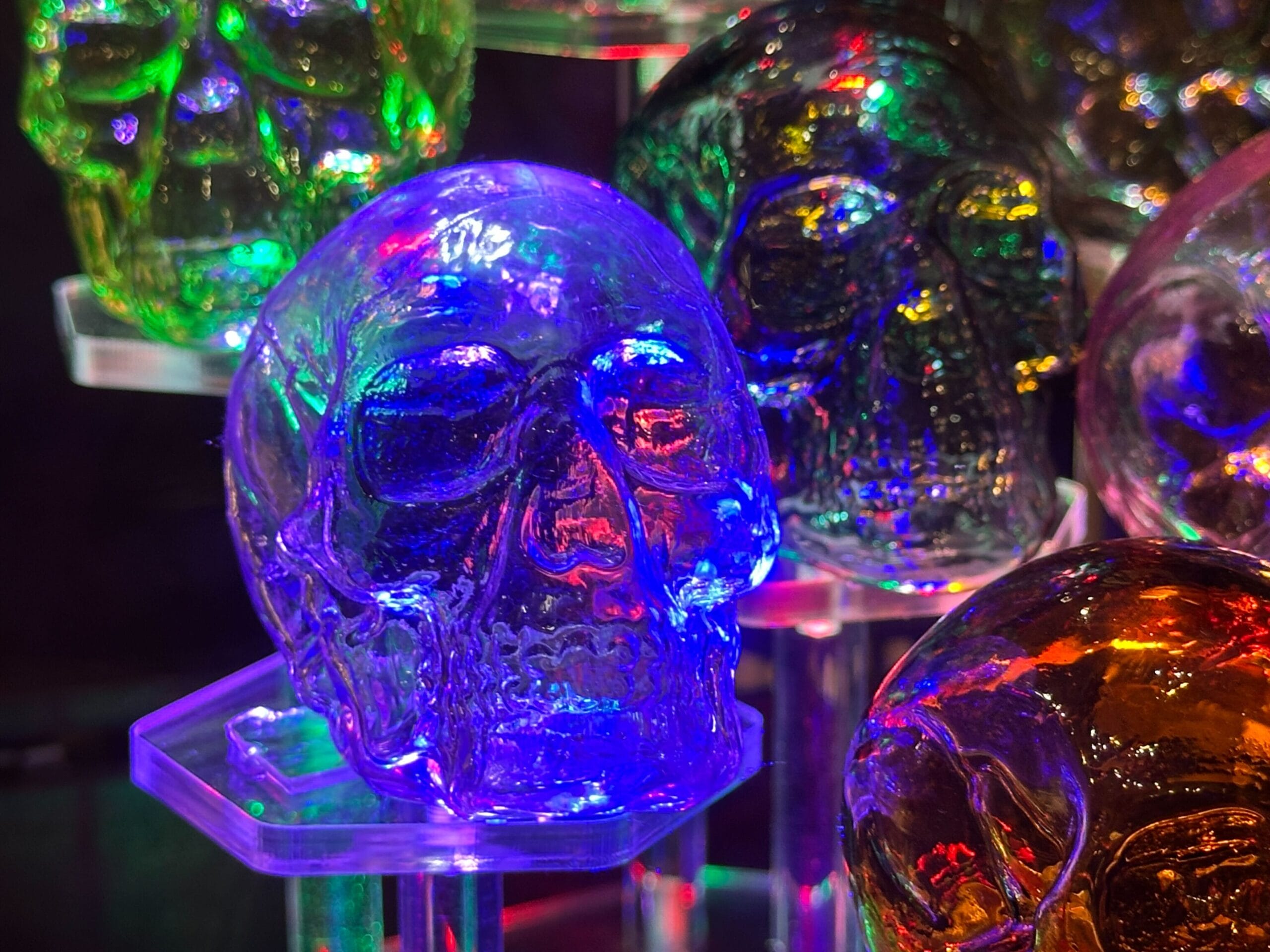 Colorful glass skulls glow with multicolored lights on clear stands, reminiscent of festive Disney park decor during Halloween.