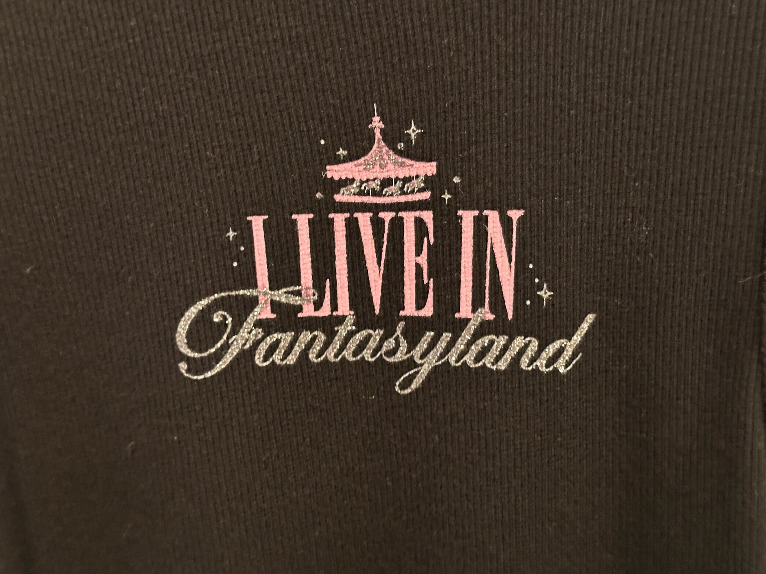 Text on shirt says "I LIVE IN Fantasyland" above a pink carousel—perfect for Magic Kingdom fans who love Cinderella Castle’s charm.