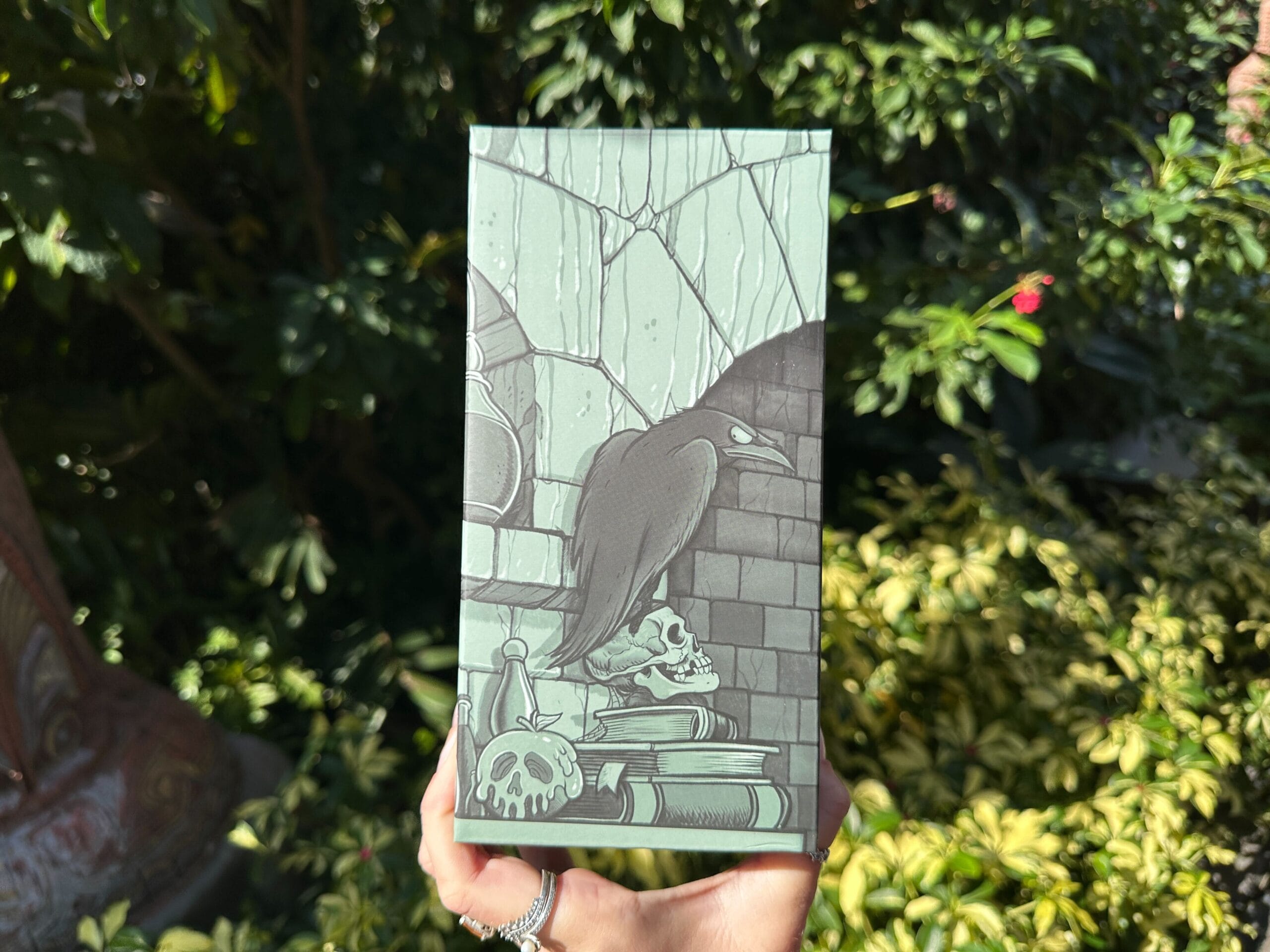 A hand holds a box with a raven, skulls, and books, set before a cracked wall—evoking Disney resort vibes over castle magic.