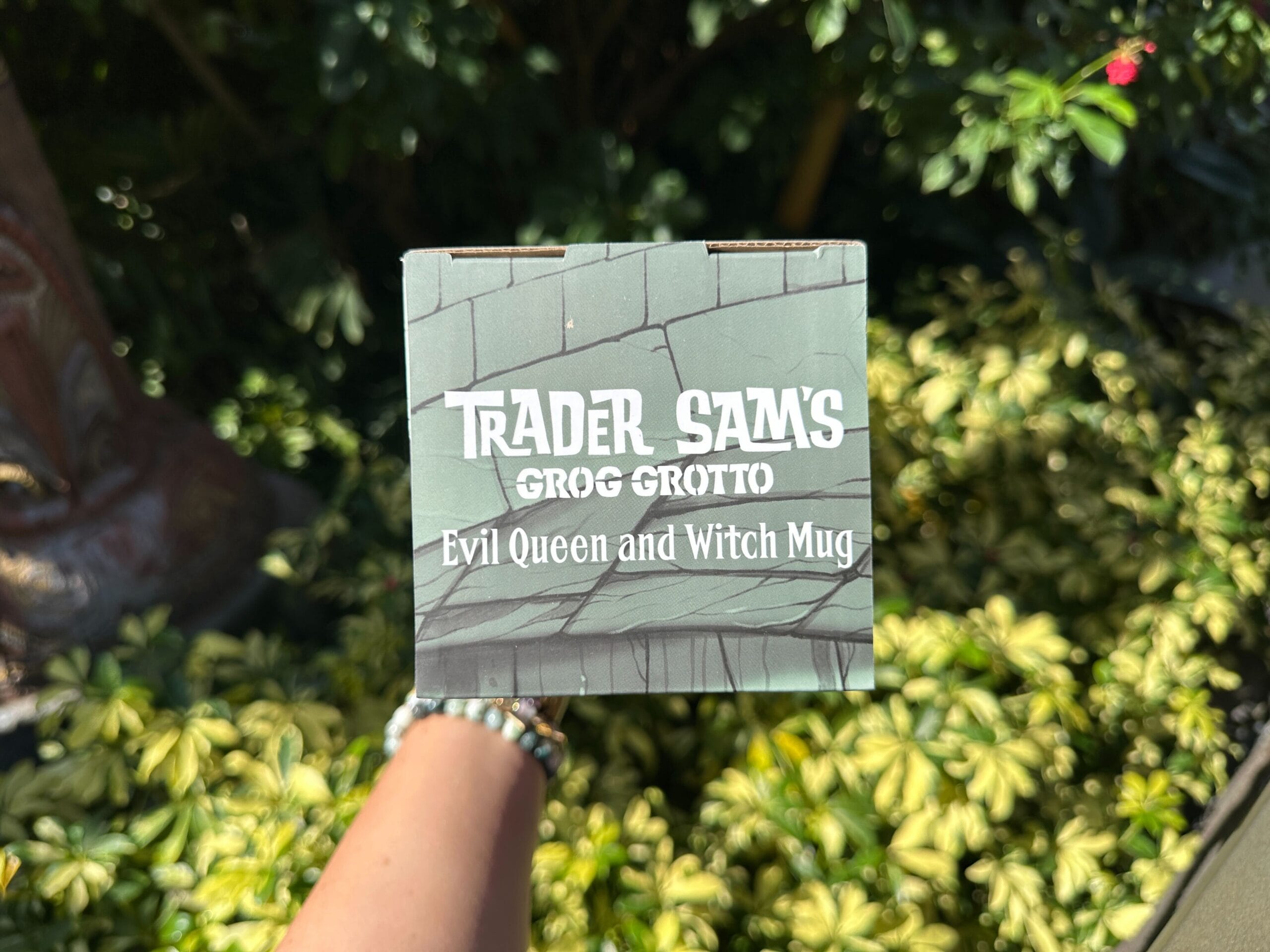 A hand displays a Green Evil Queen Tiki Mug box from Trader Sam's at Disney's Polynesian Village Resort, above lush plants.