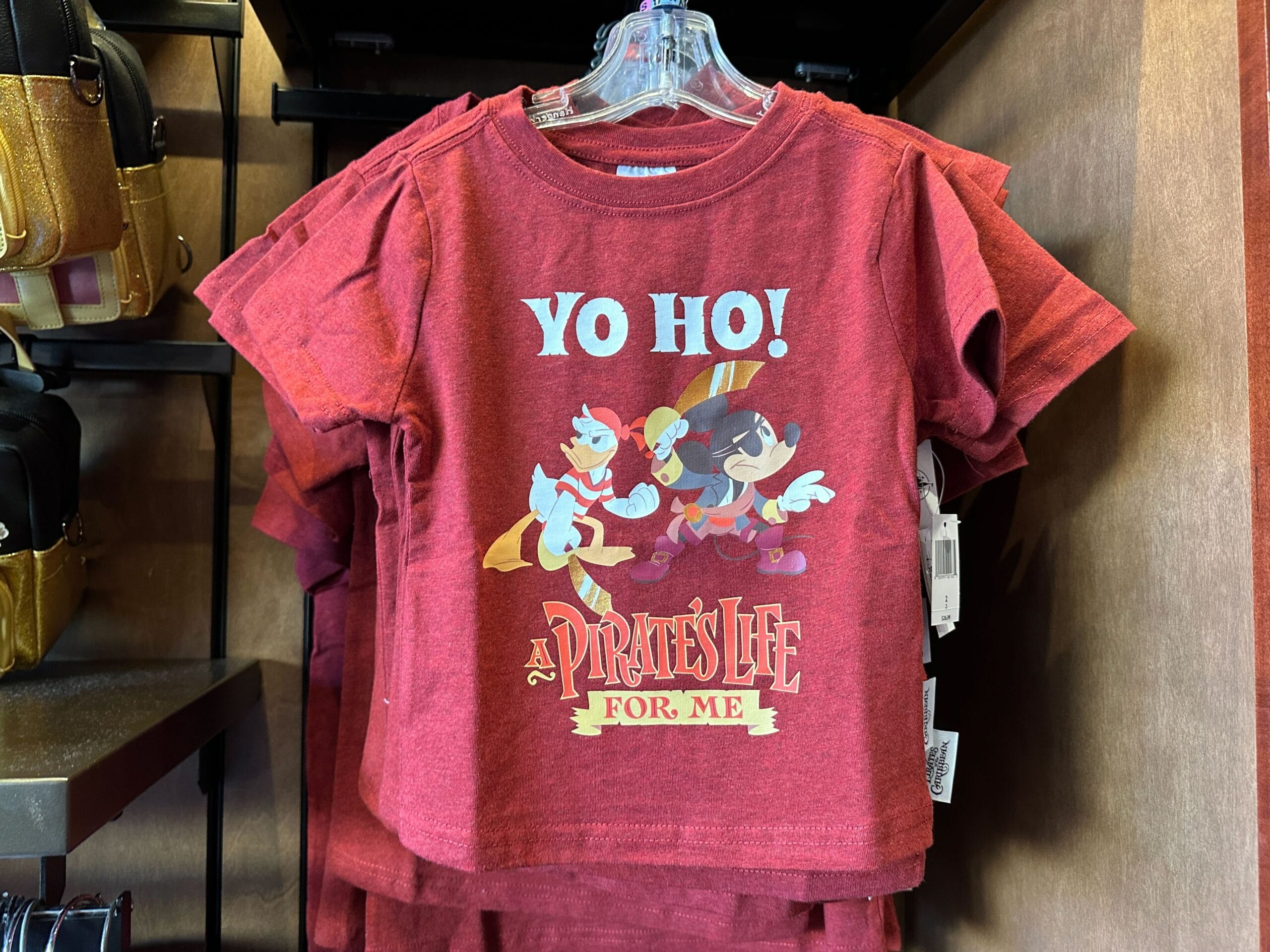 A person in a red t-shirt enjoying a swing ride, reminiscent of the classic carousel attractions at Disney Parks worldwide.