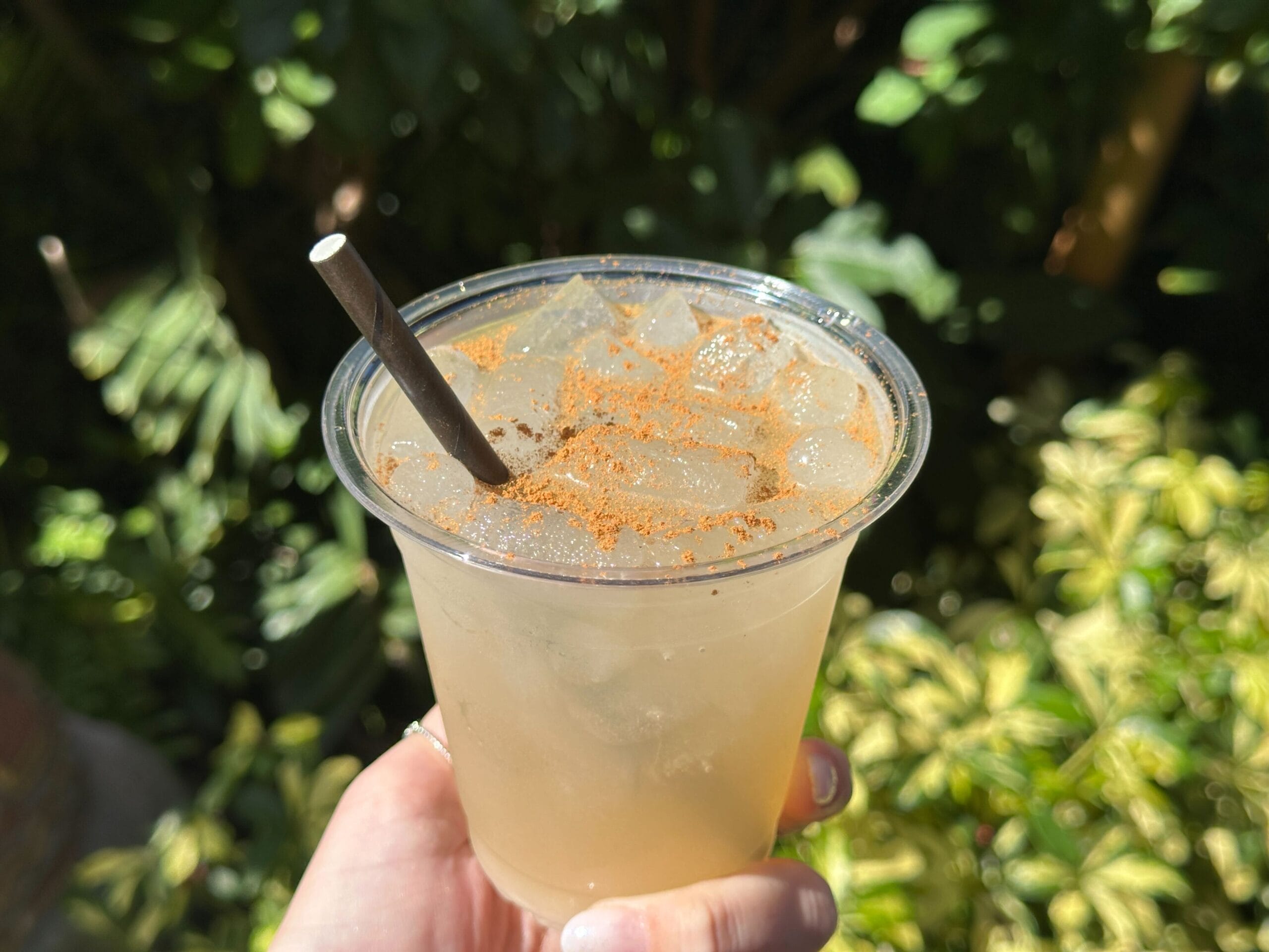 A hand holds a Green Tiki Mug of iced drink with a straw, topped with cinnamon, glowing in sunlight at a Disney Park outdoors.