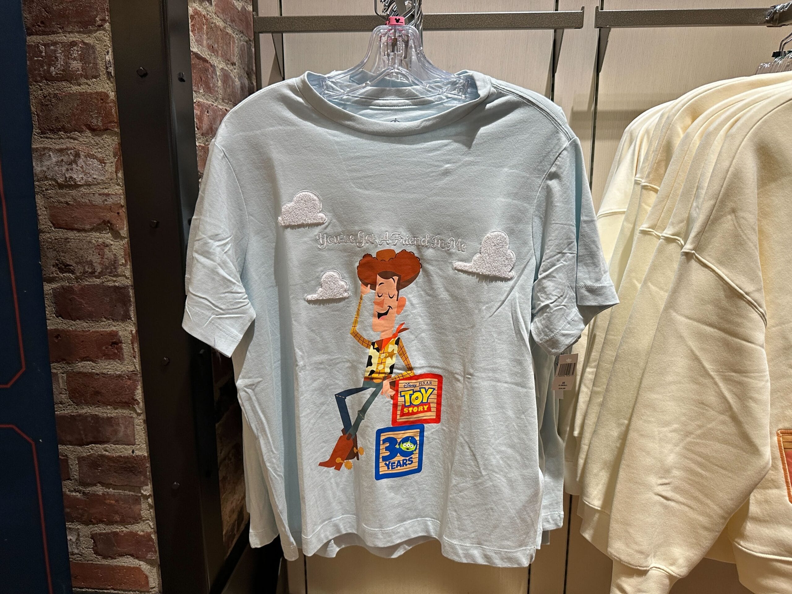 Light blue T-shirt featuring embroidered Woody, Toy Story clouds, and a “30 Years” anniversary box—seen in many Disney park shops.