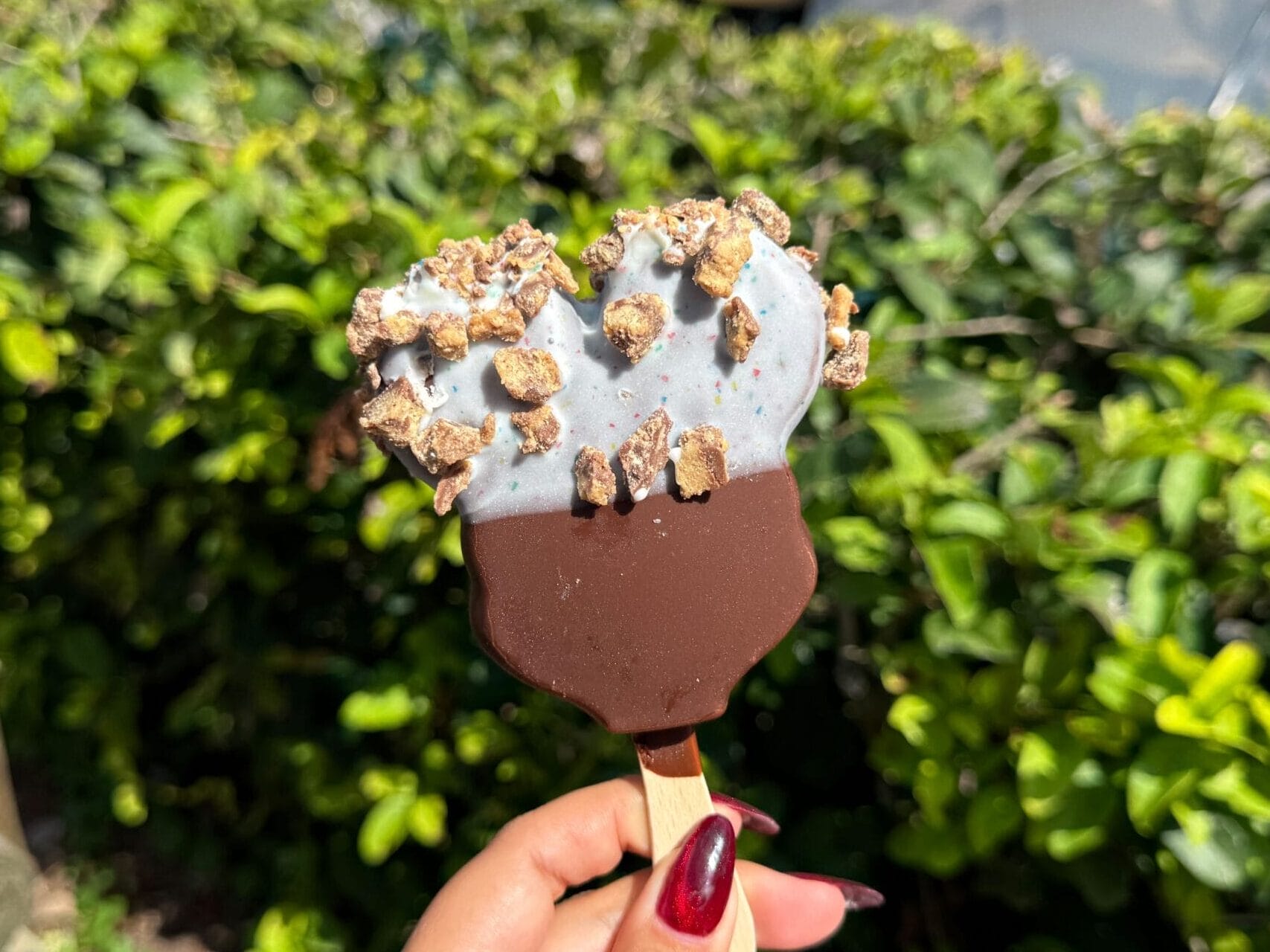 A hand holds a chocolate-dipped ice cream bar with cookie crumbles, outside near lush greenery like at Disney parks' gardens.