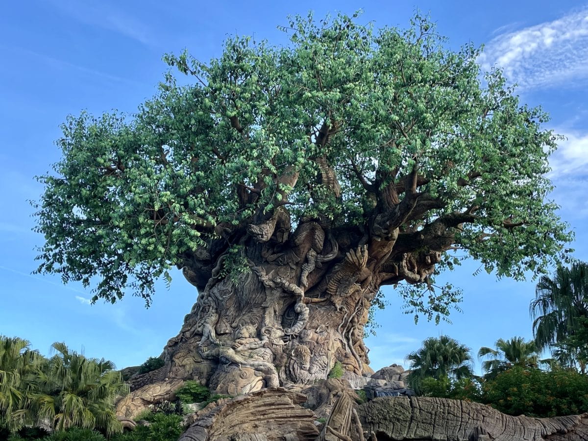 The Tree of Life with detailed animal carvings and lush leaves stands out beneath a signature Disney blue sky in Animal Kingdom.