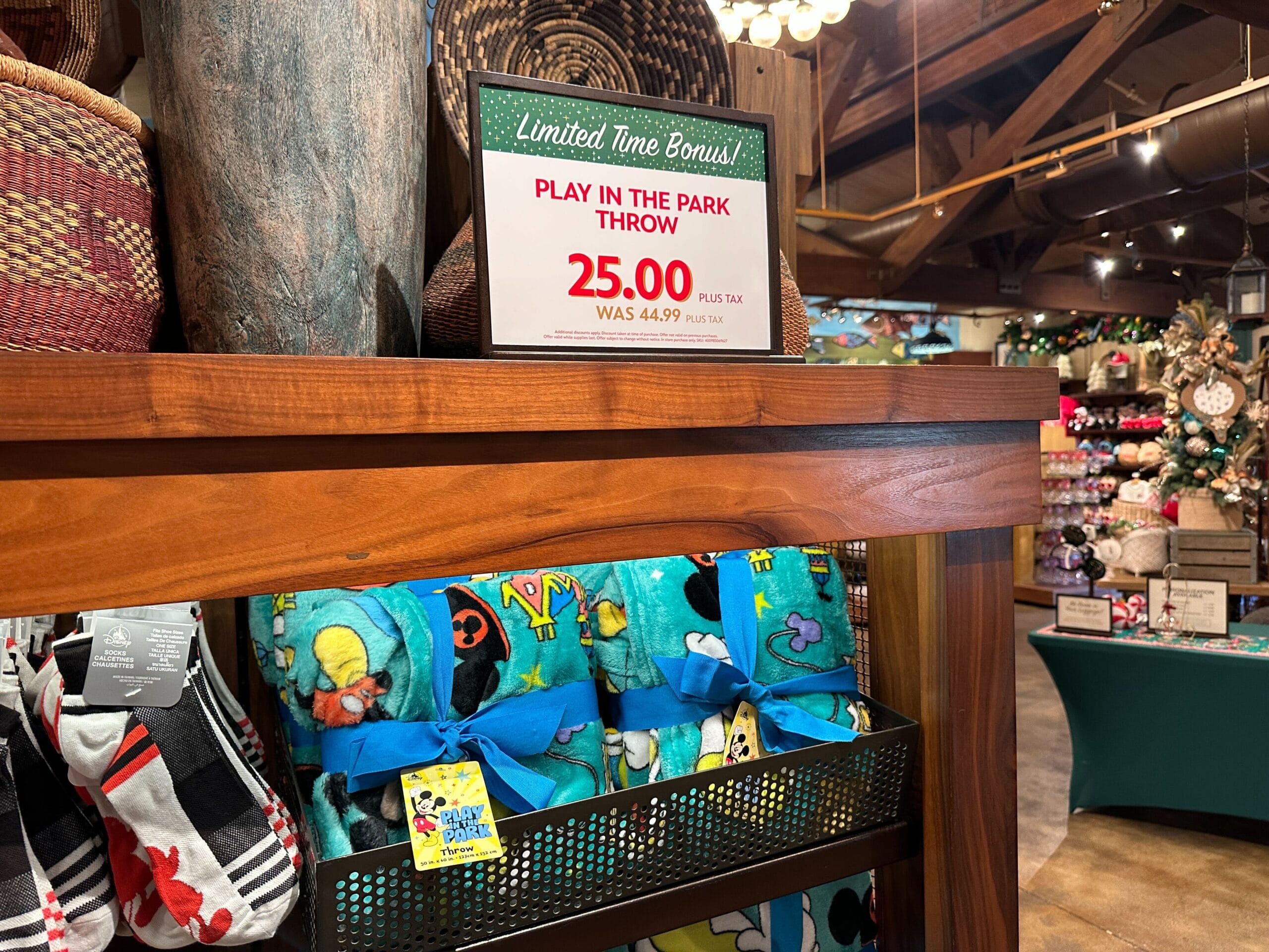 Play in the Park Blanket