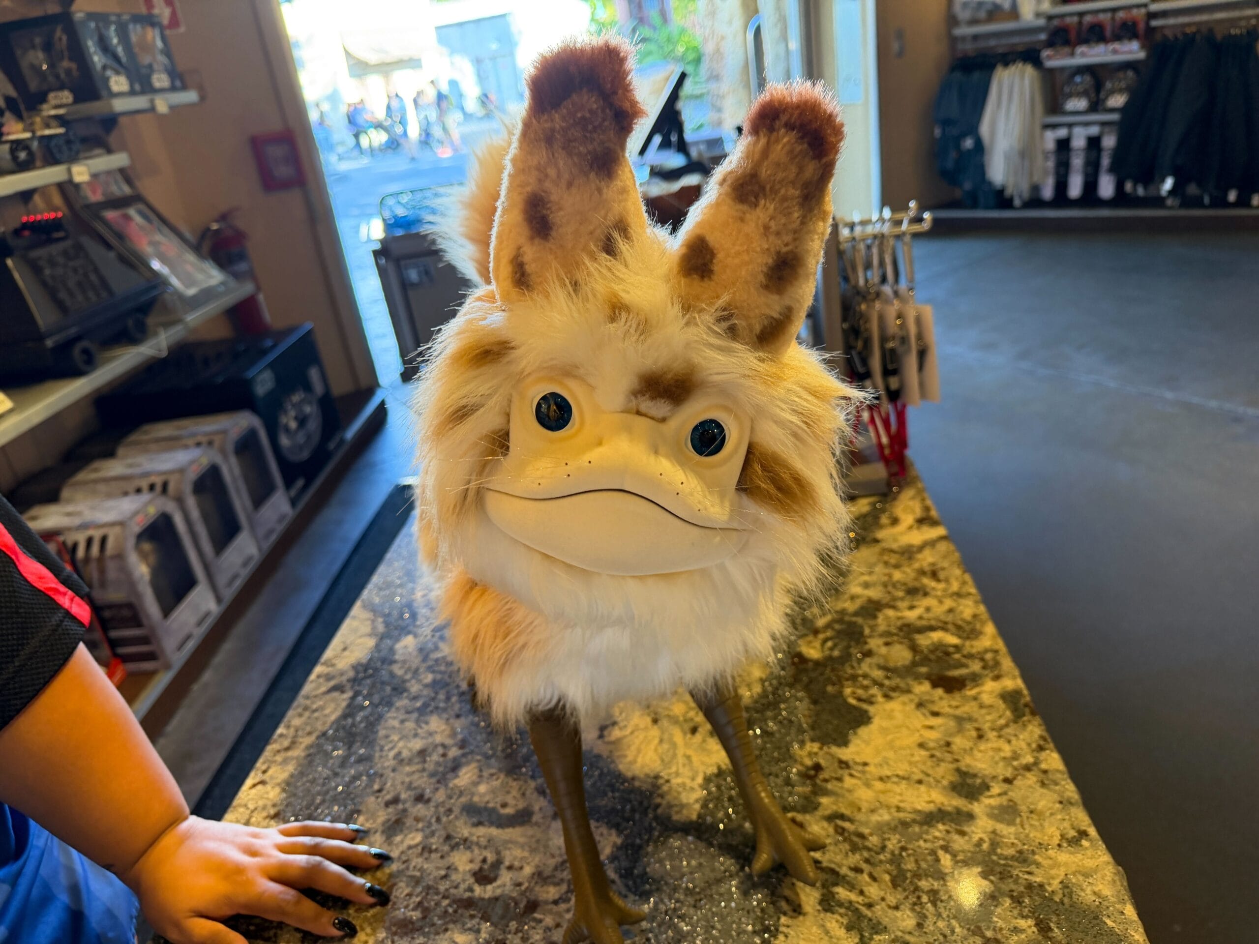 Loth Cat