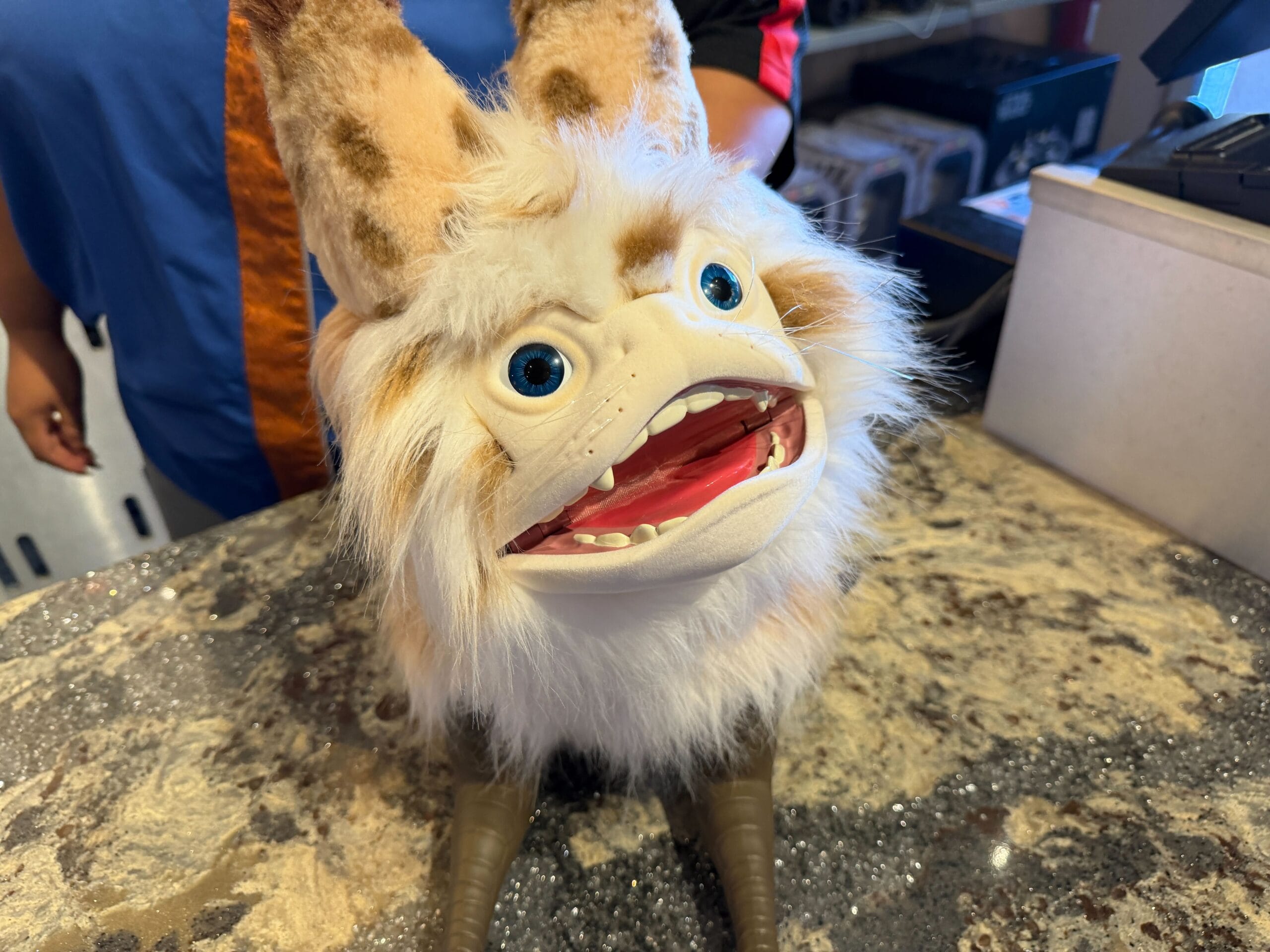 Loth Cat Smiling