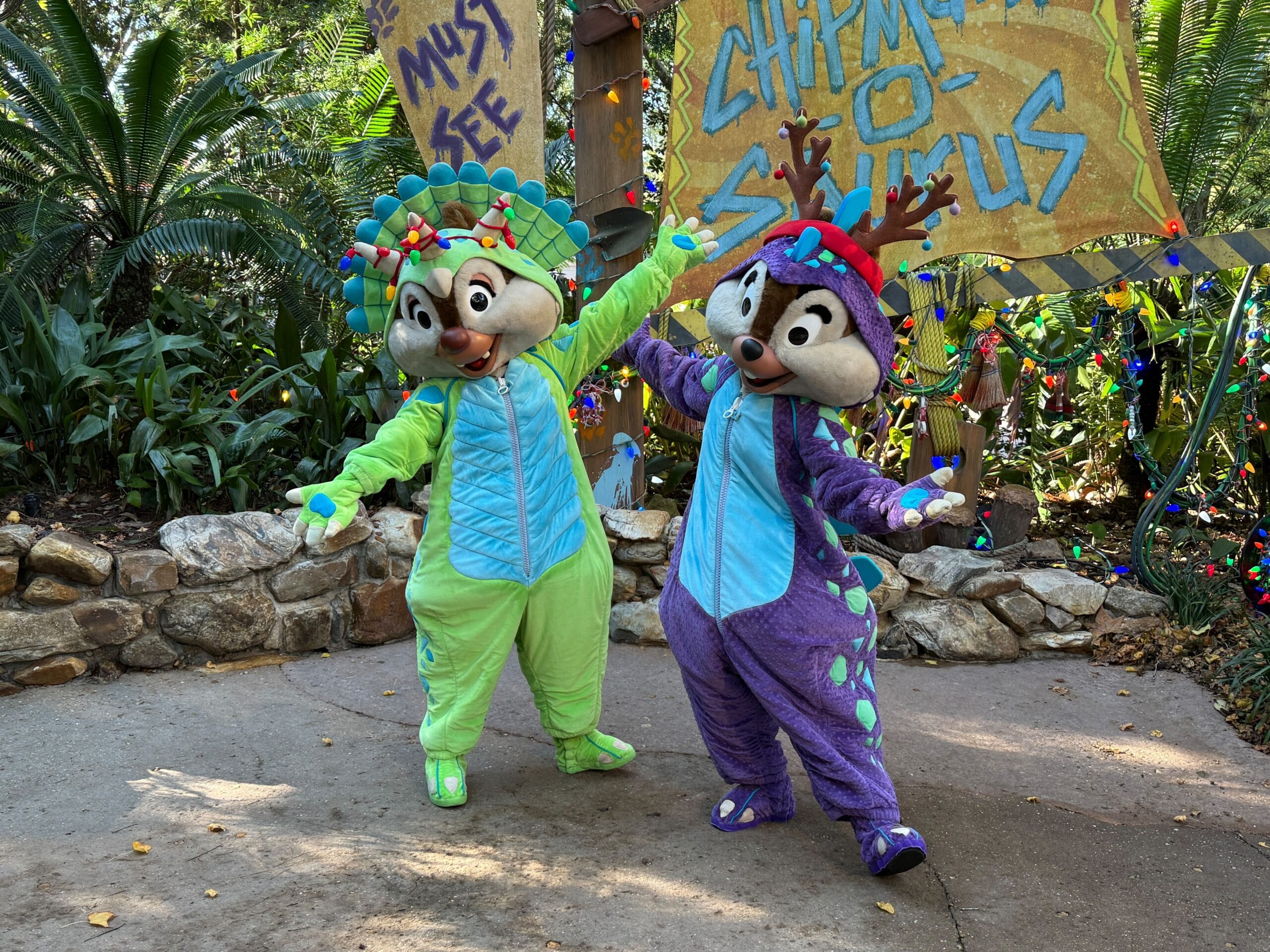Chip 'n Dale in their holiday costumes at Animal Kingdom