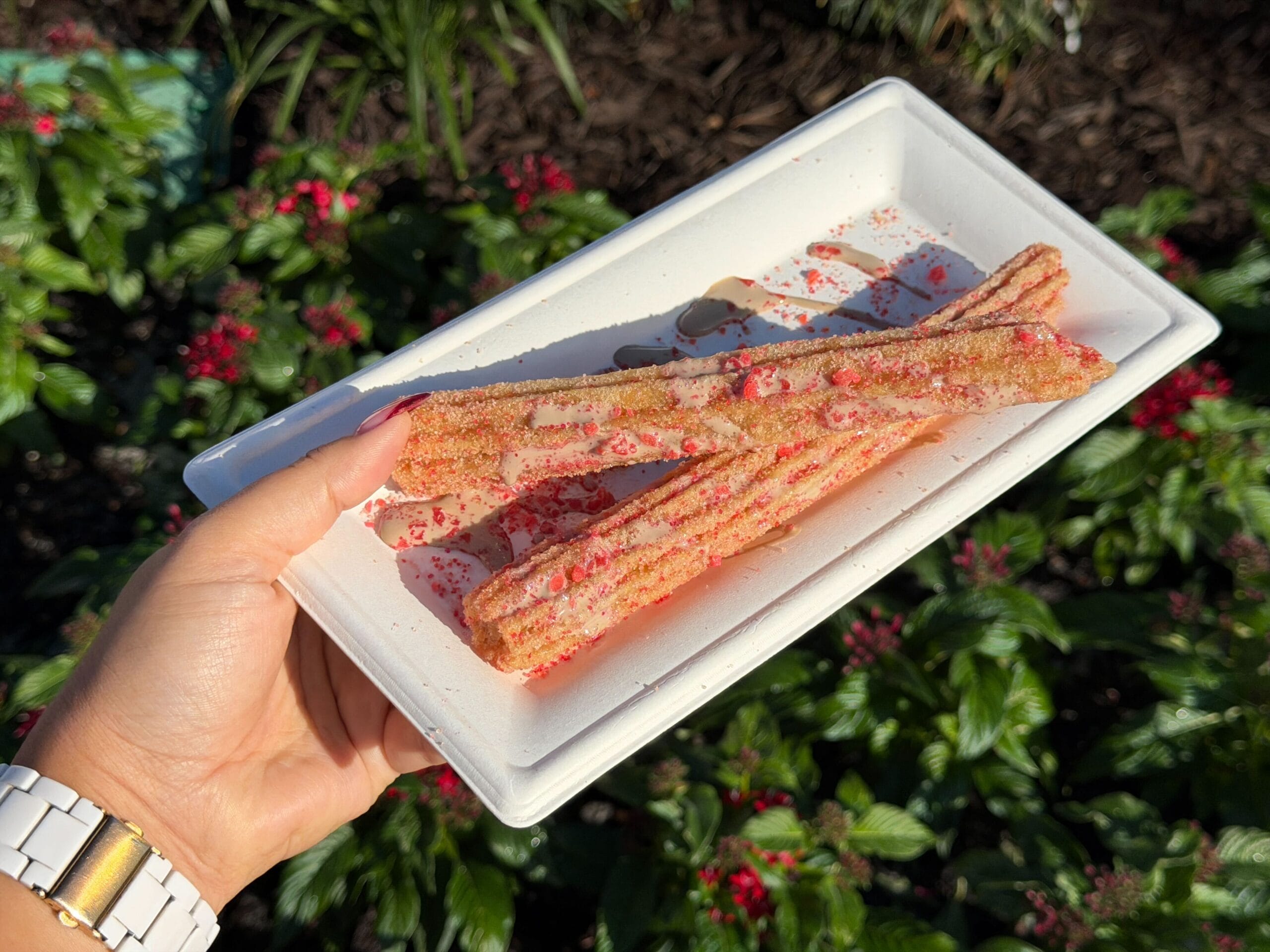 A hand holds a tray with two sugar-coated churros topped with red sprinkles, likely a Disneyland treat, above lush flowering plants.