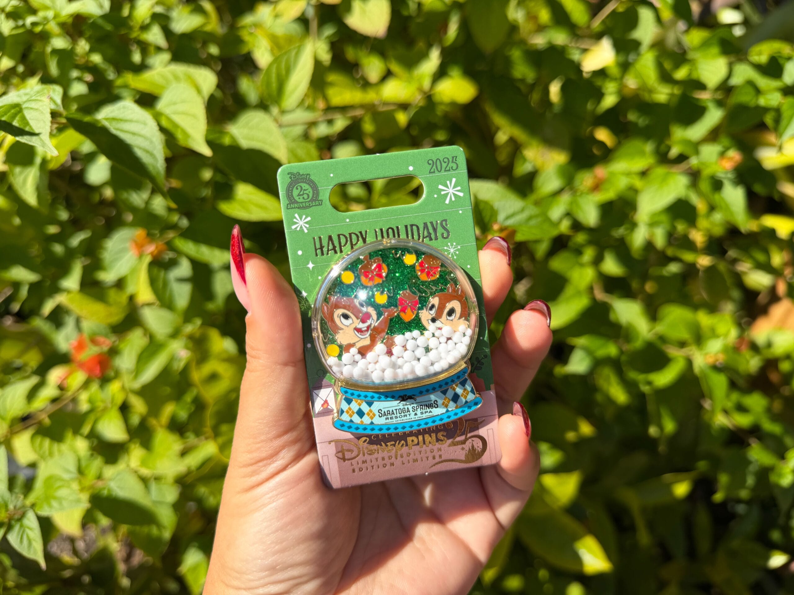 A hand displays a Walt Disney World holiday pin of Chip and Dale in a snow globe, leafy greenery behind—not near any Disney castle.