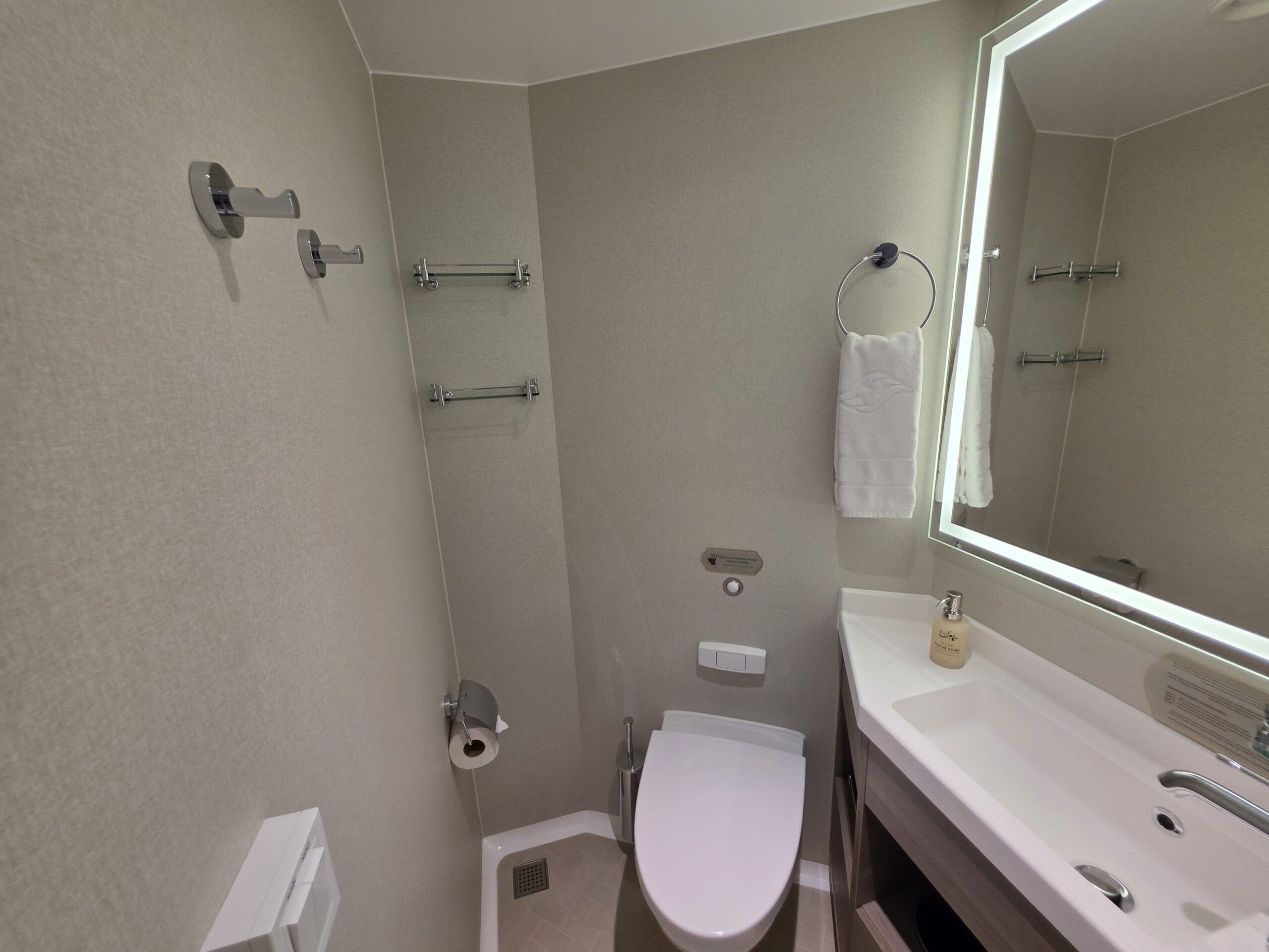 Deluxe Oceanview Stateroom on the Disney Destiny