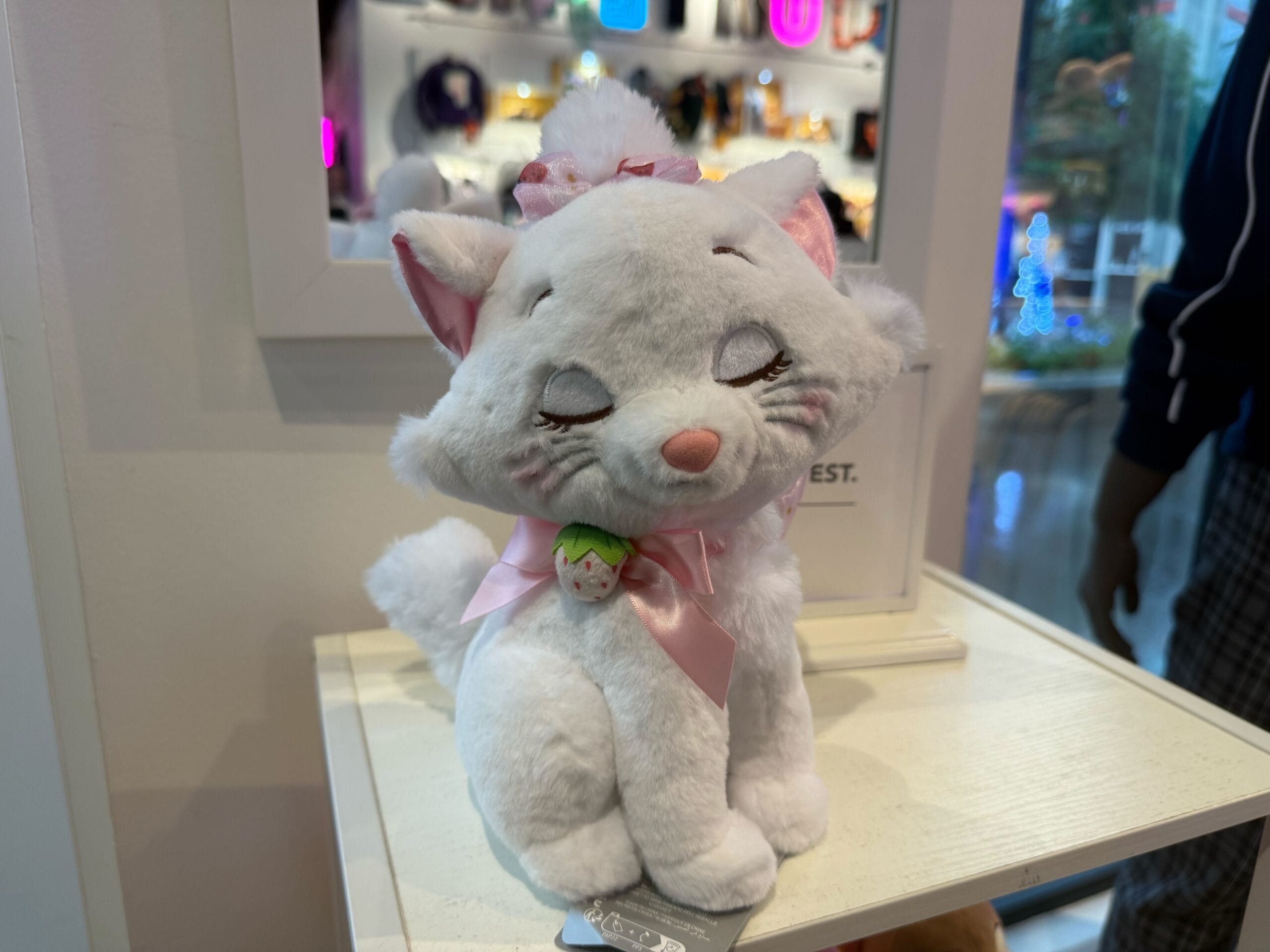 a picture of Marie's strawberry plush's front